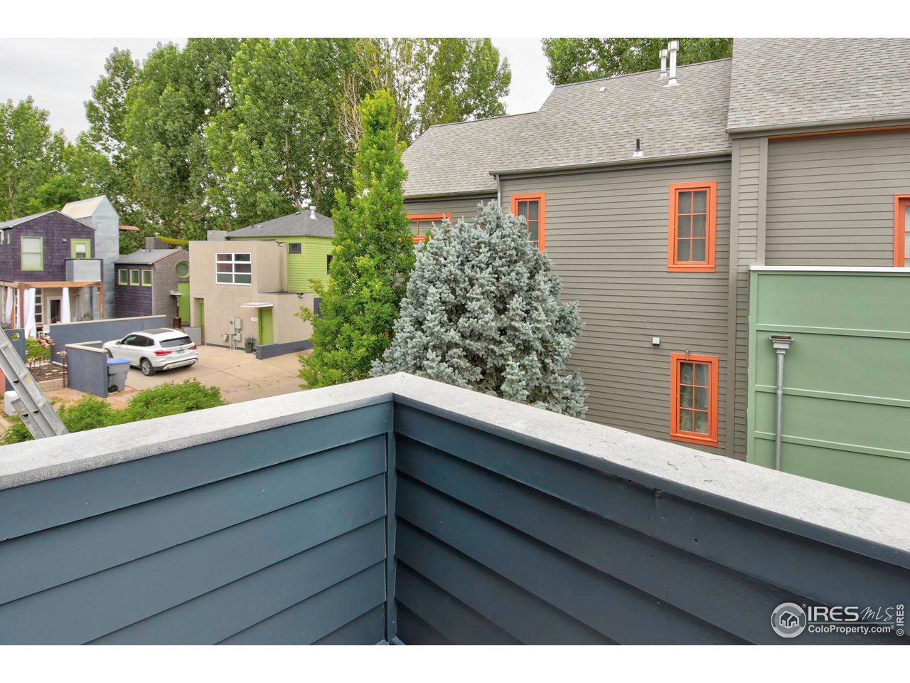 1012 Neon Forest Cir