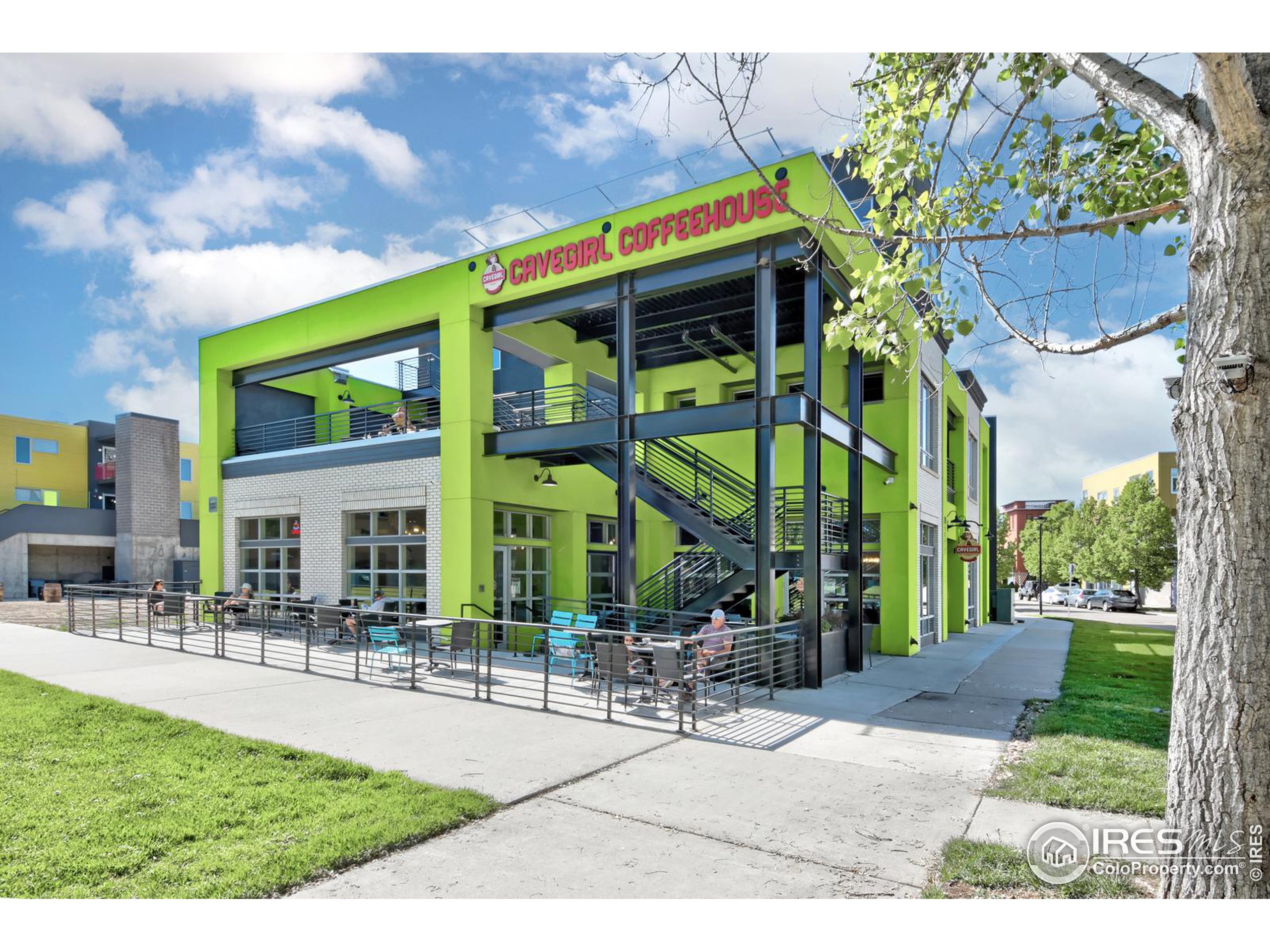 1012 Neon Forest Cir