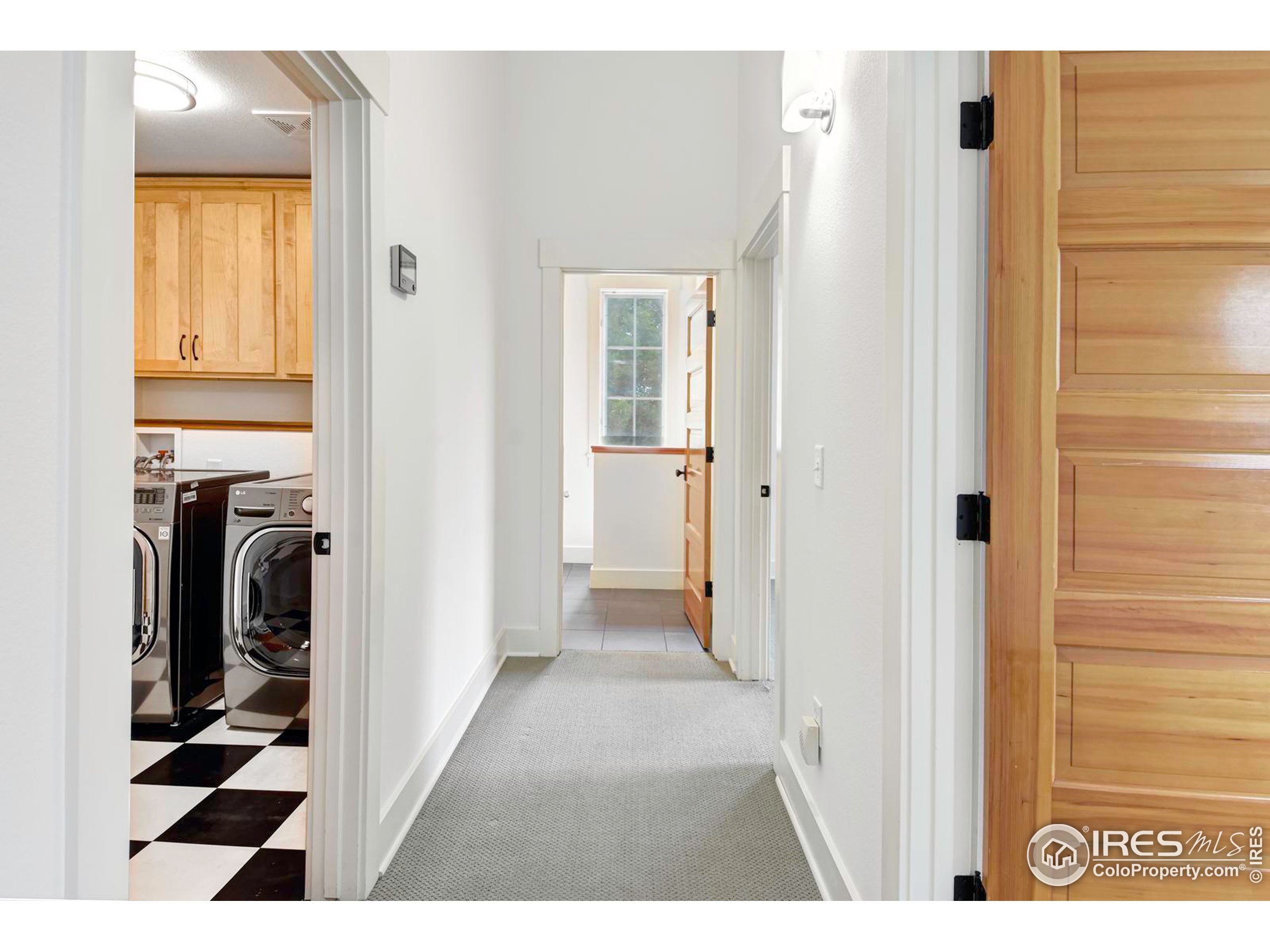 1012 Neon Forest Cir