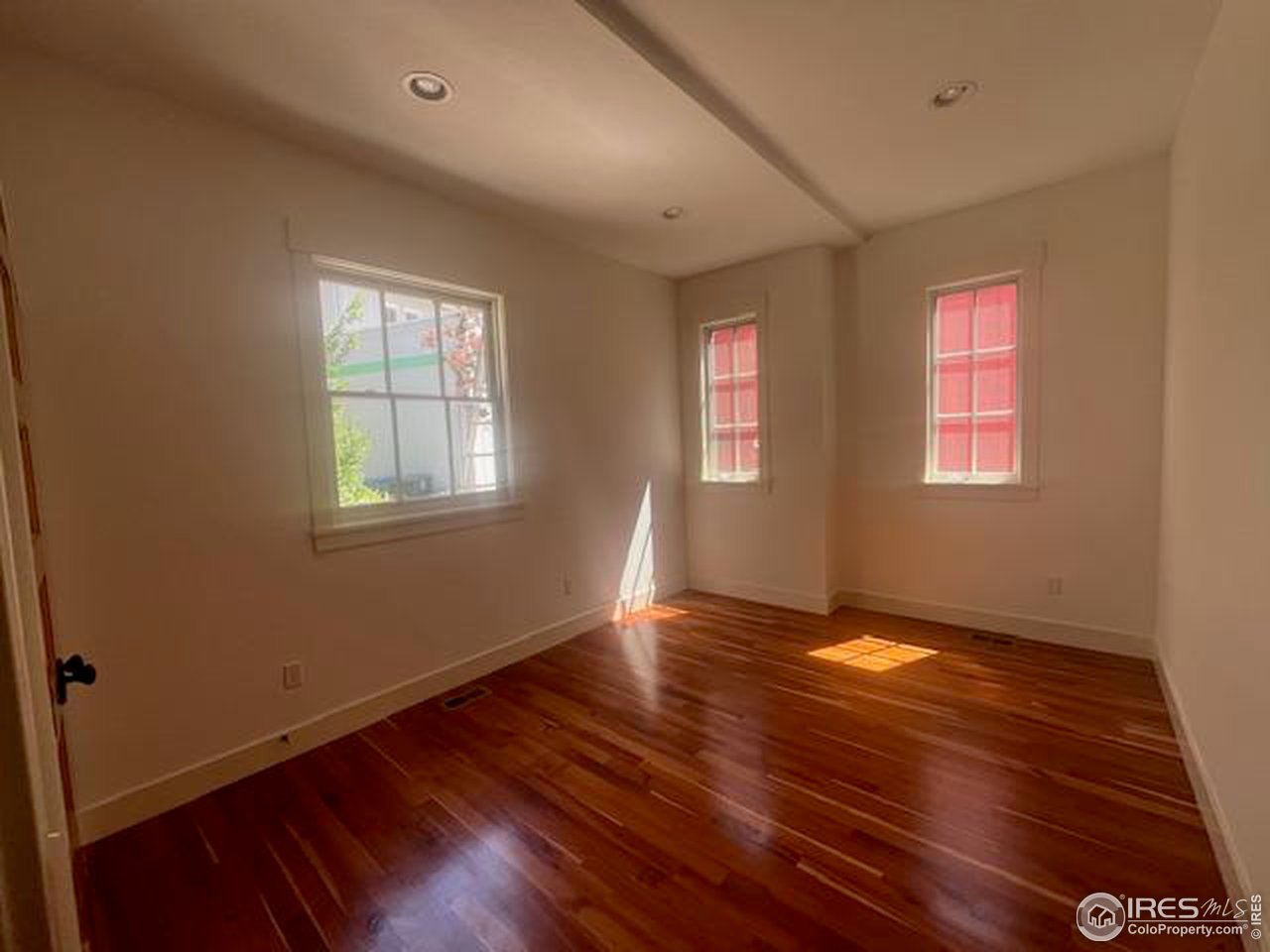 1012 Neon Forest Cir