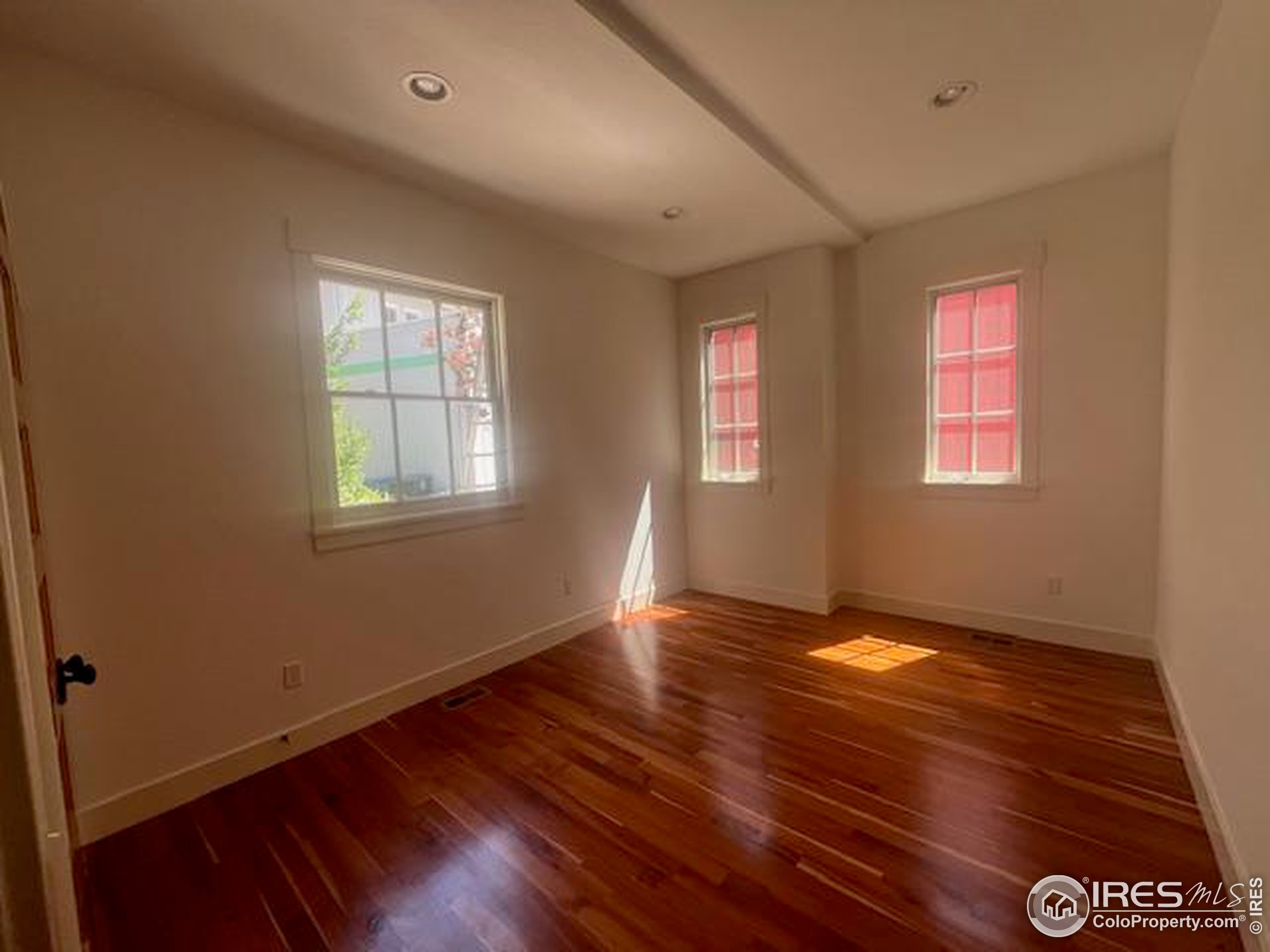 1012 Neon Forest Cir