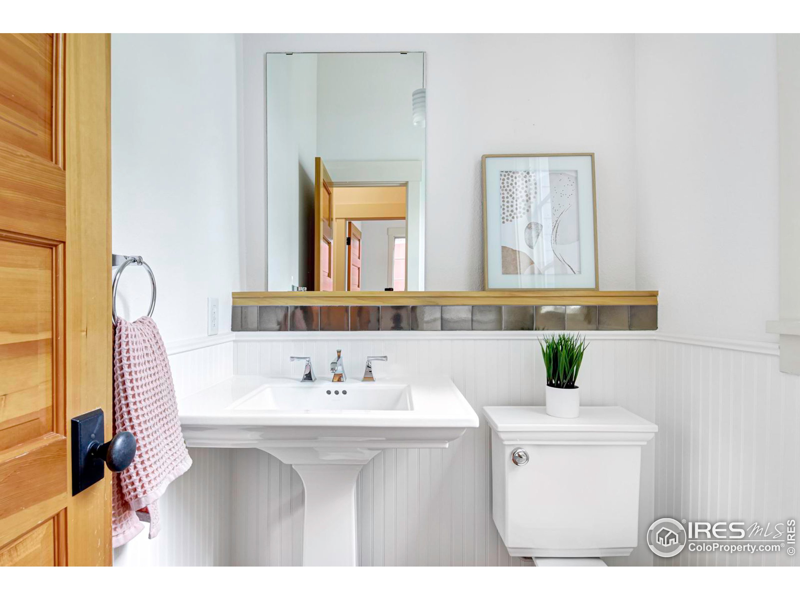 1012 Neon Forest Cir