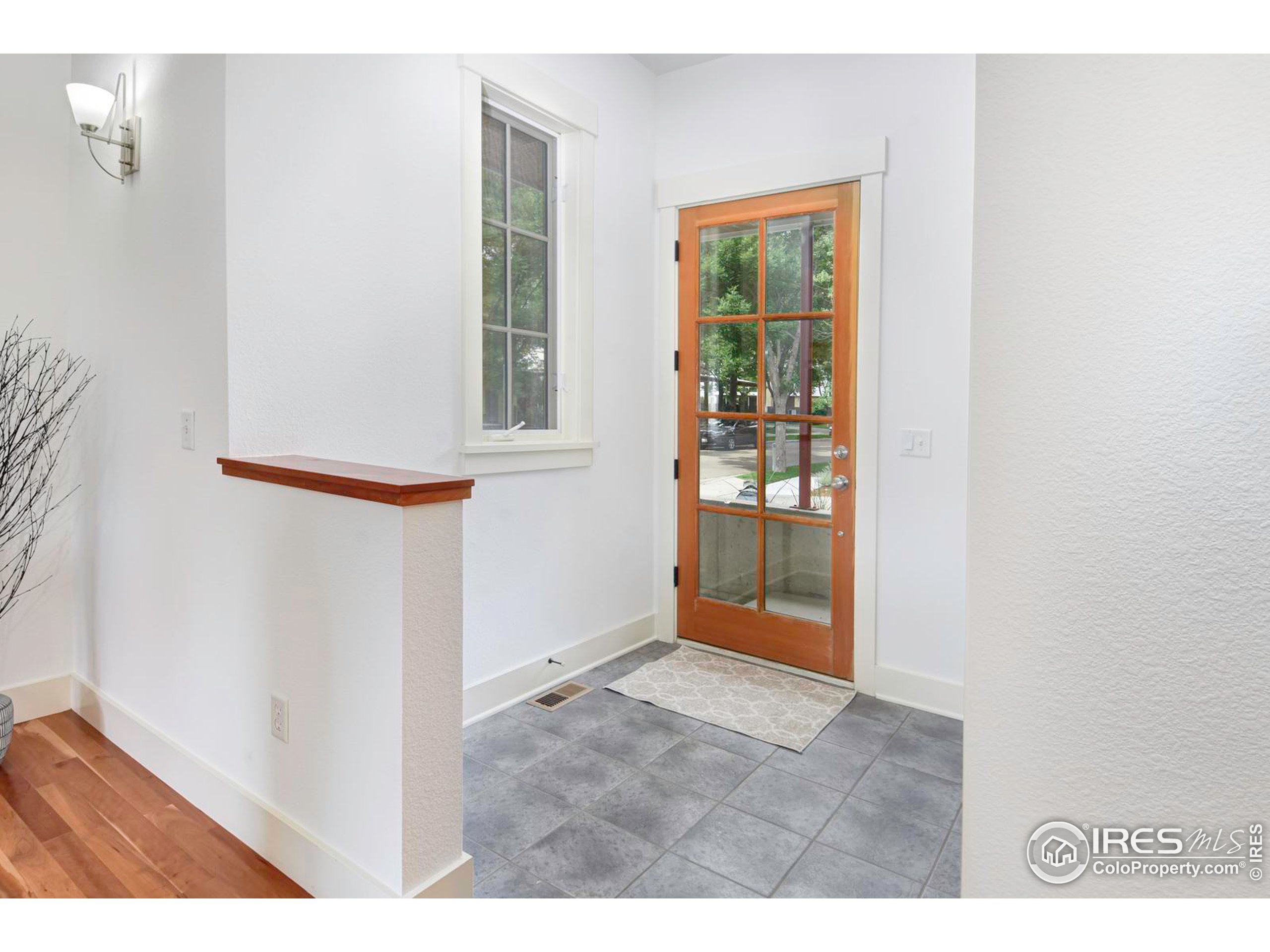 1012 Neon Forest Cir