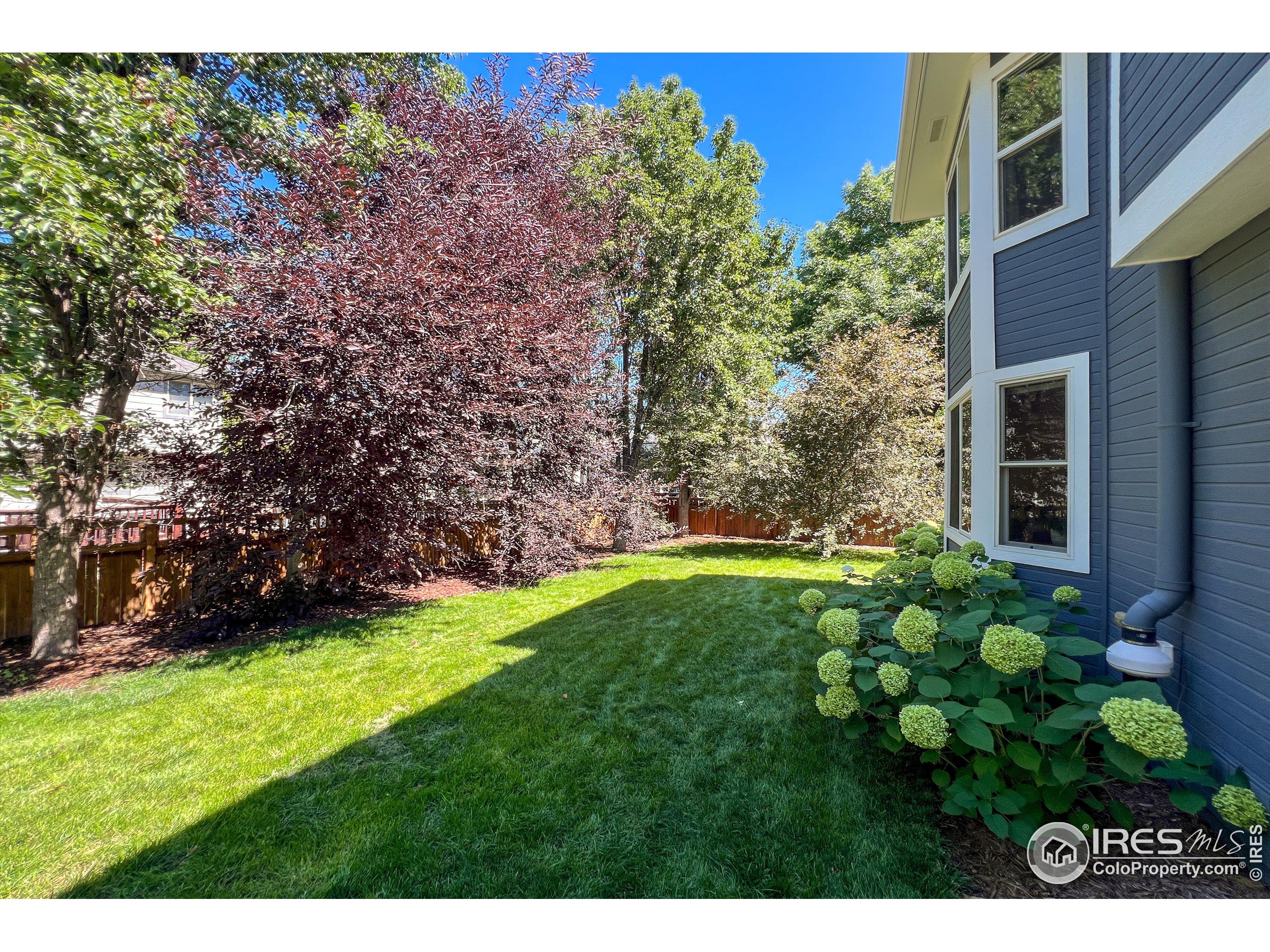 2233 Barn Swallow Dr