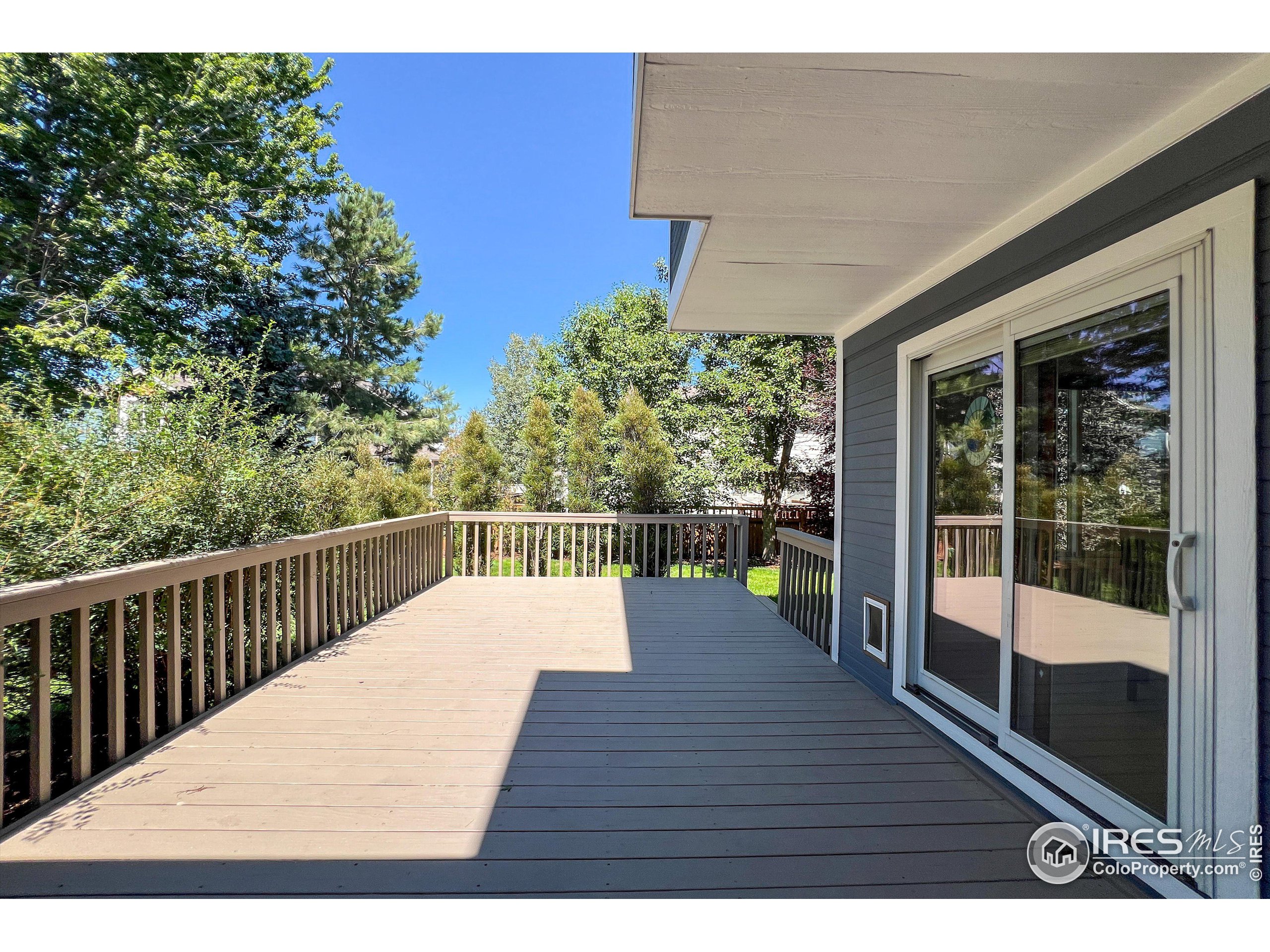 2233 Barn Swallow Dr