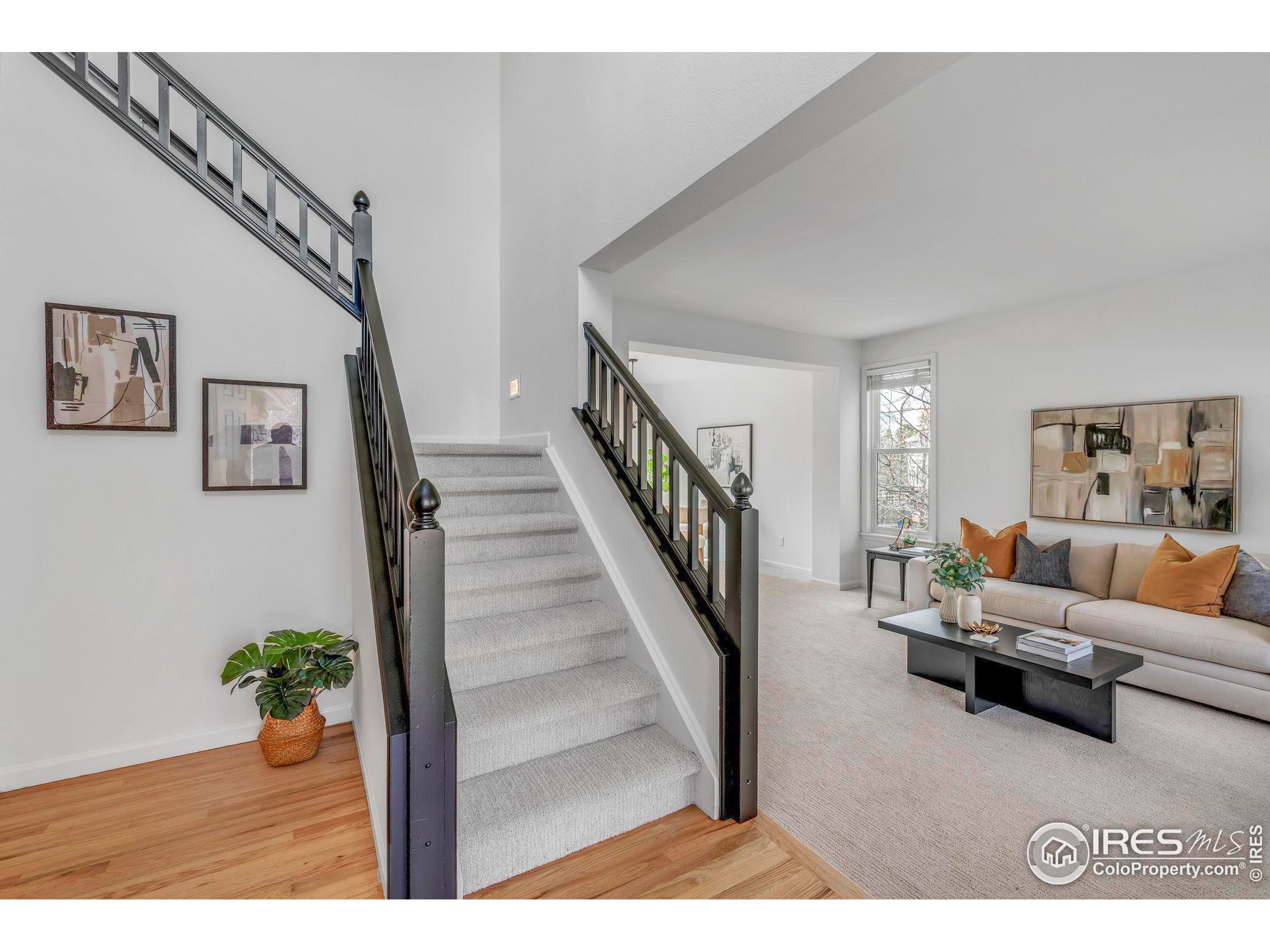 1456 Zinnia Cir