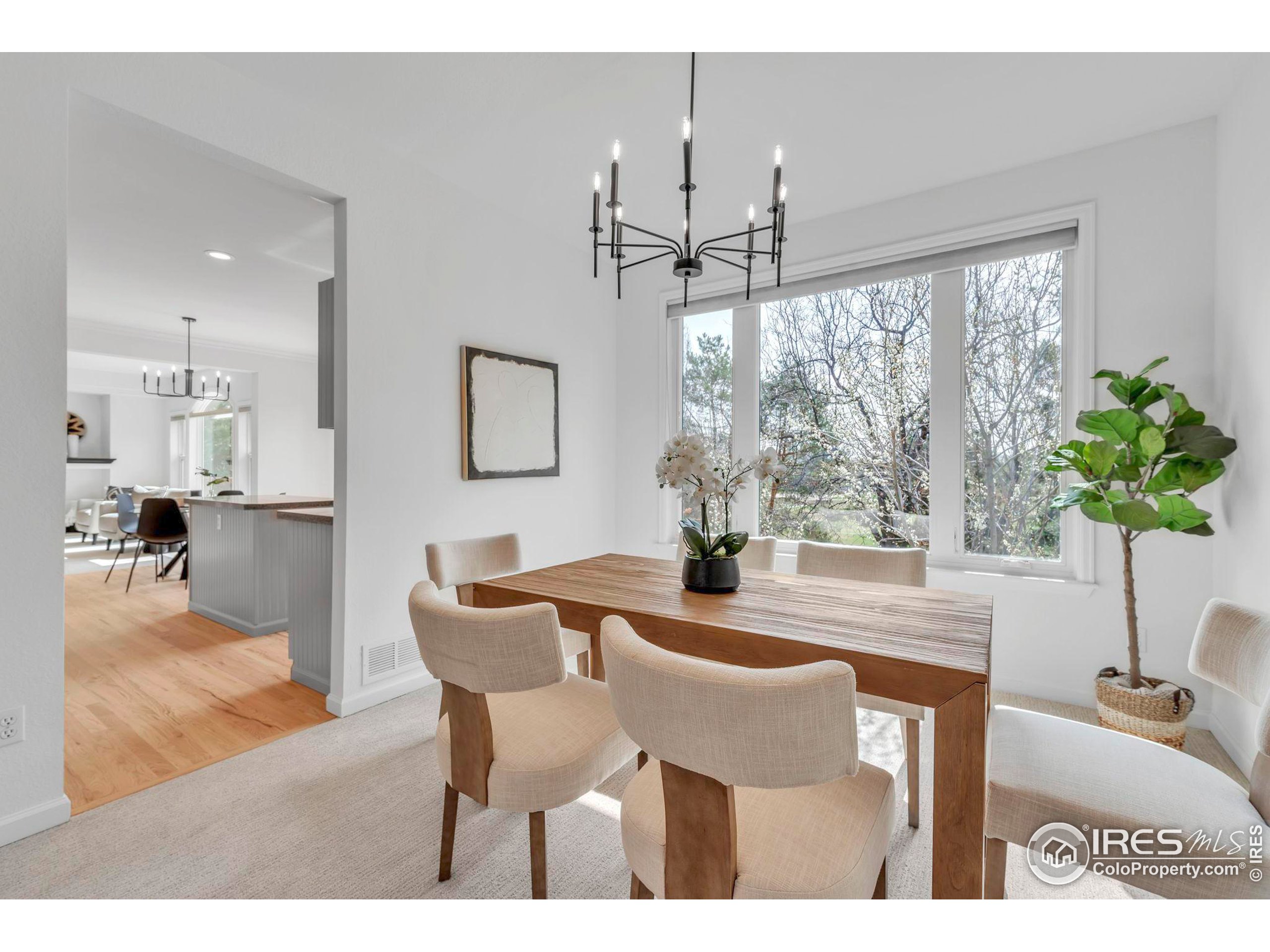 1456 Zinnia Cir