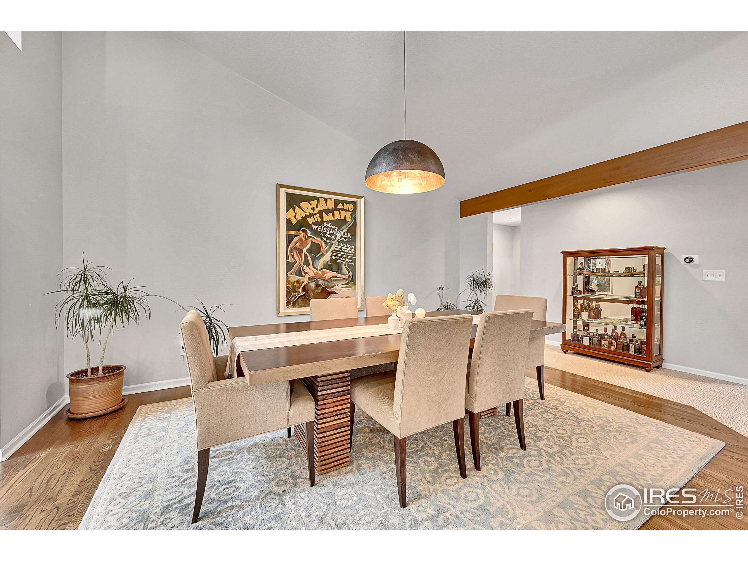 8753 Crimson Clover Ln