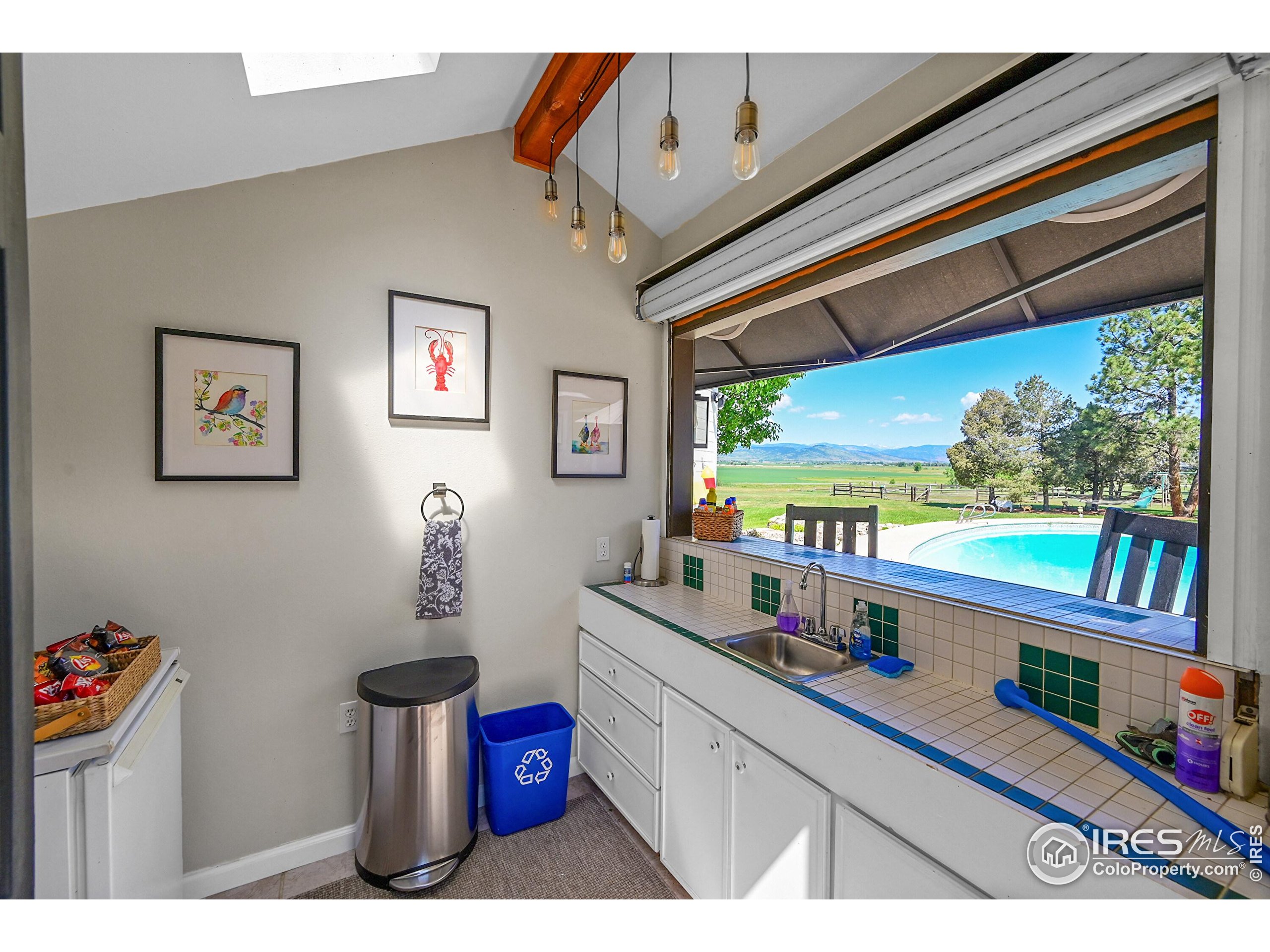 8753 Crimson Clover Ln