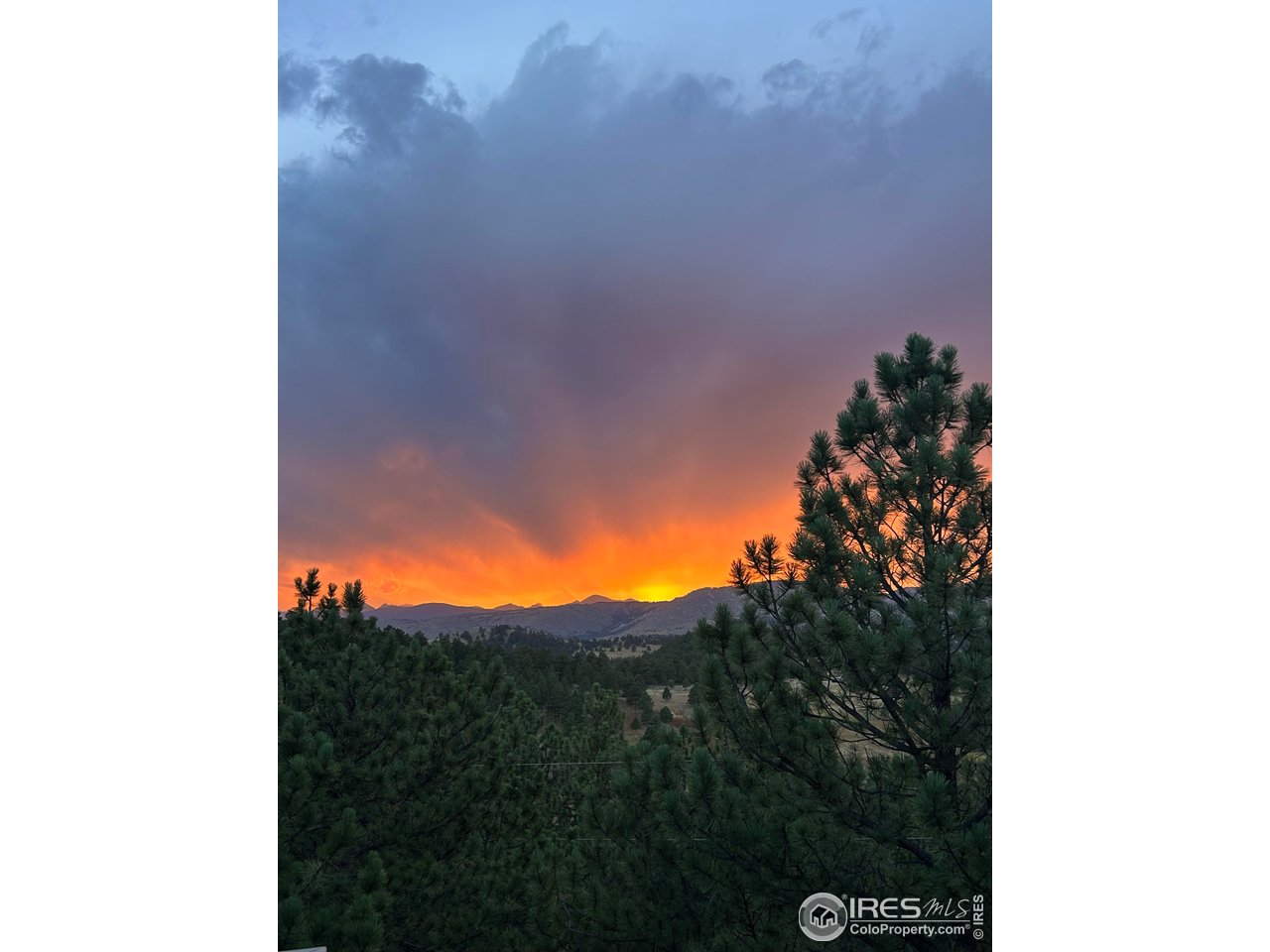 65 Bristlecone Way Boulder