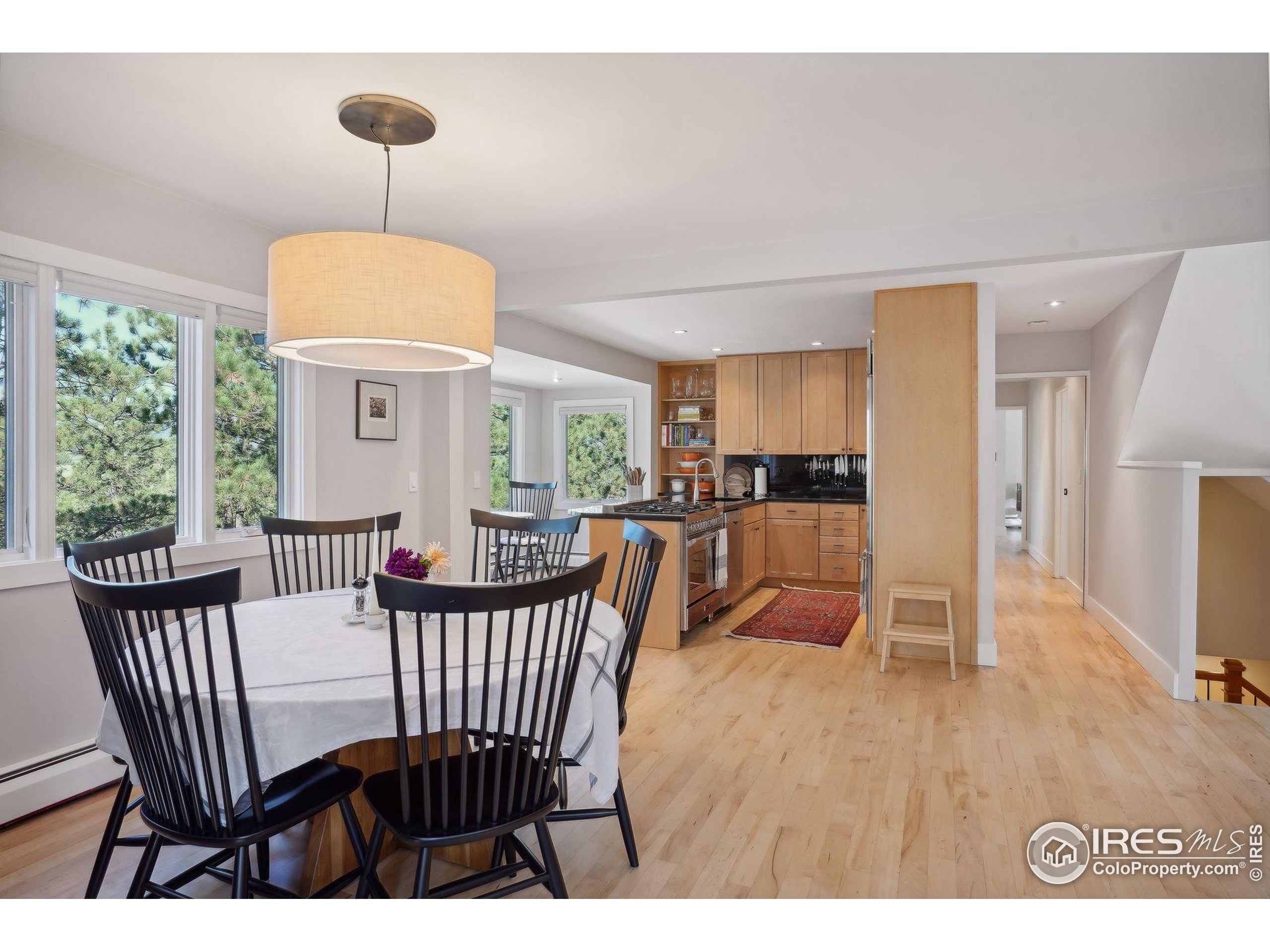 65 Bristlecone Way Boulder