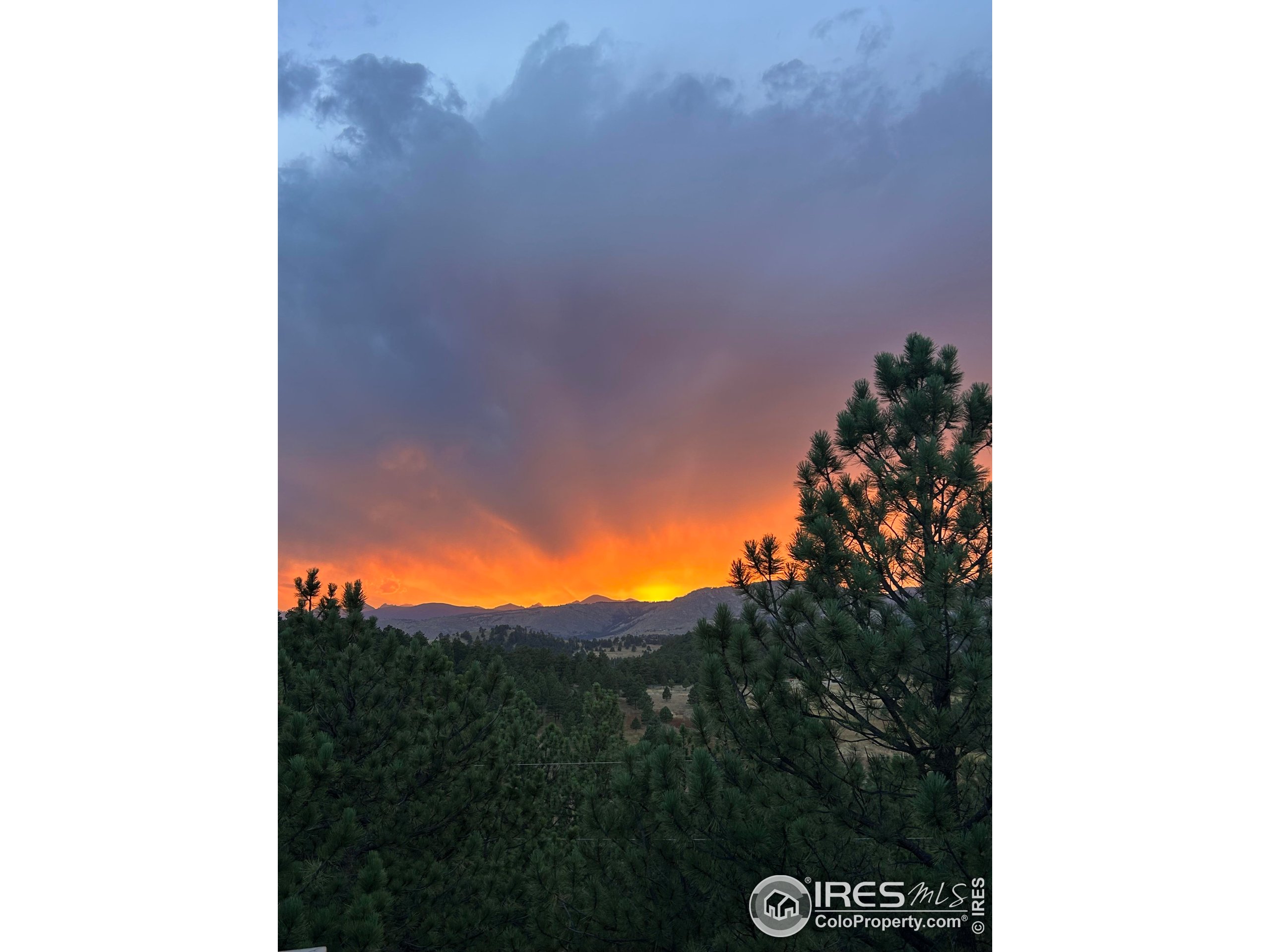 65 Bristlecone Way Boulder