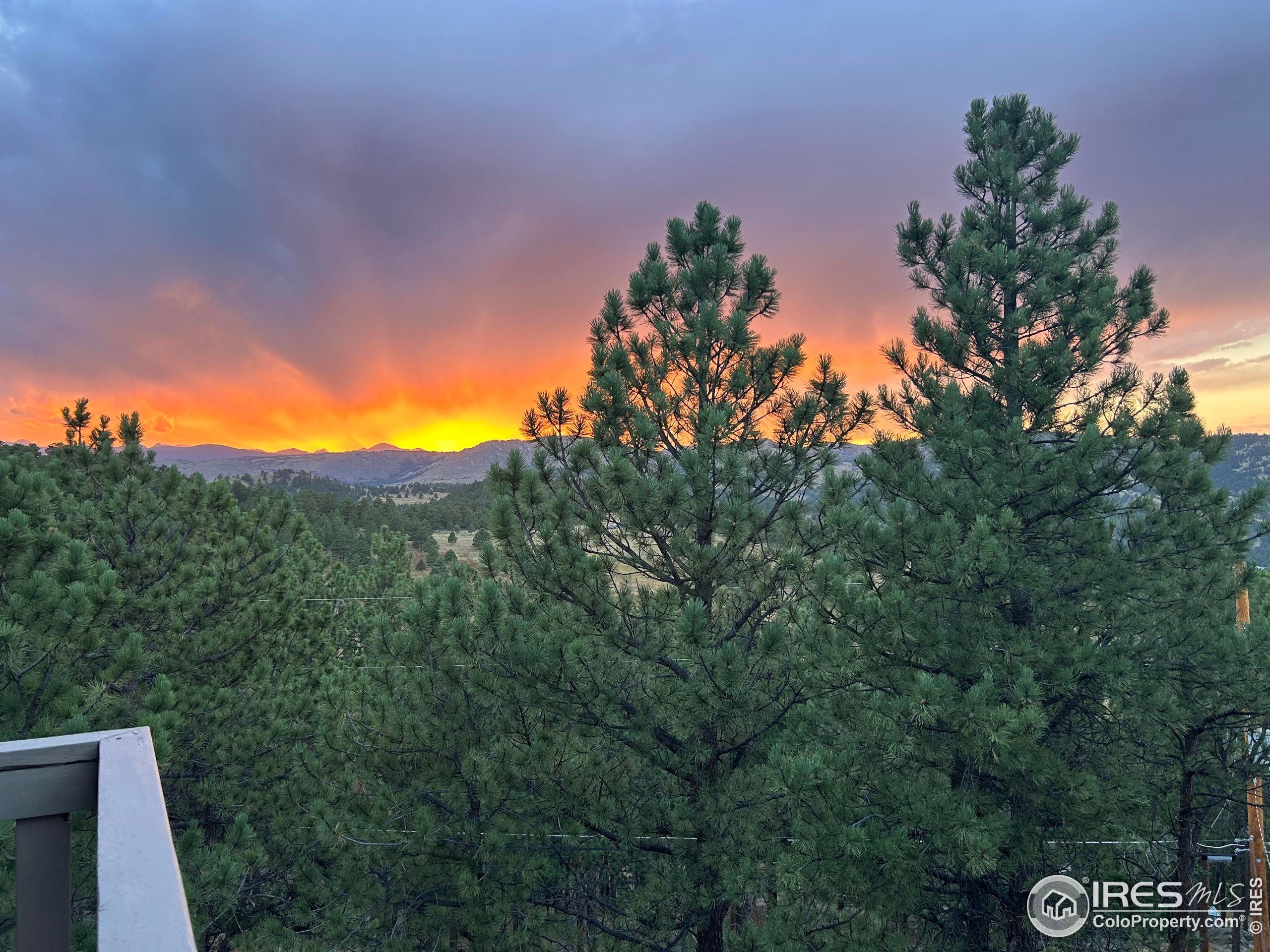 65 Bristlecone Way Boulder