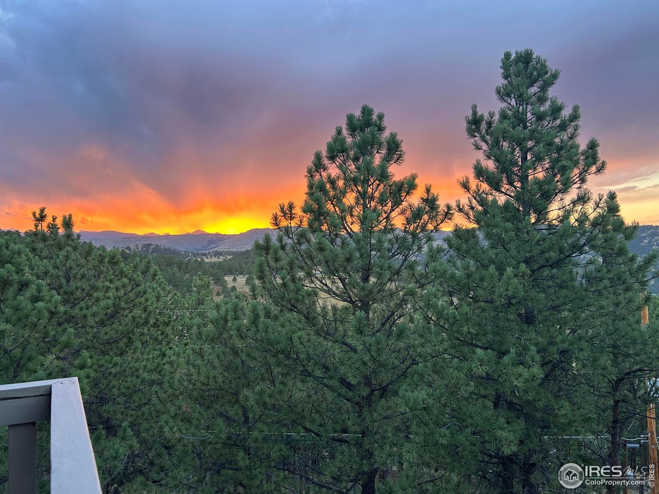 65 Bristlecone Way Boulder