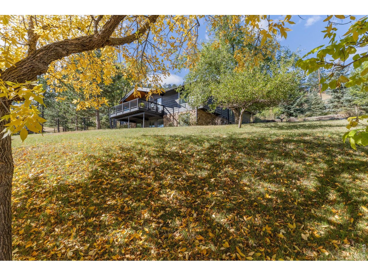 255 Linden Dr