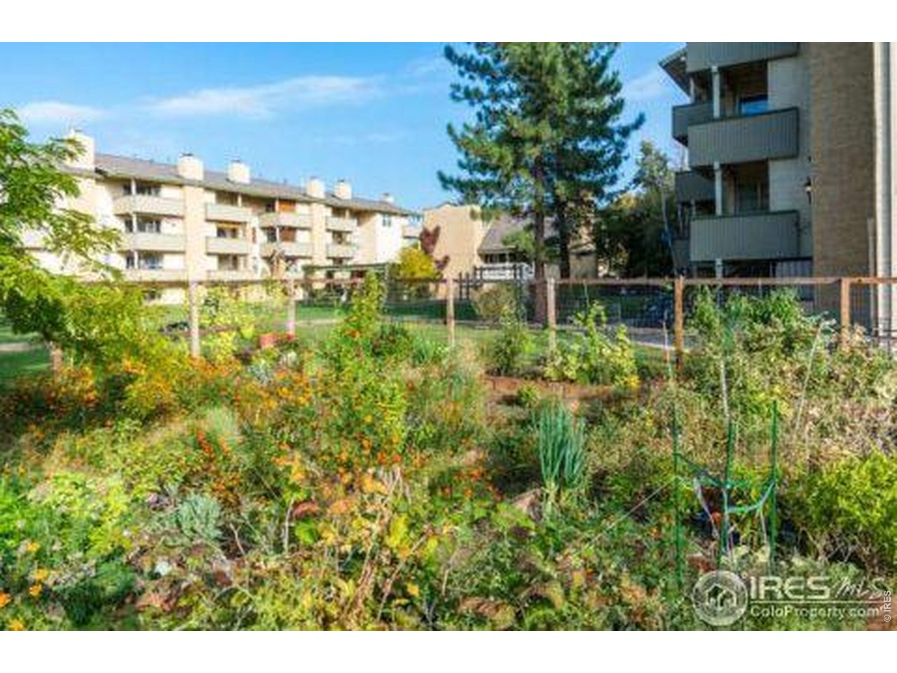 3035 Oneal Pkwy T17