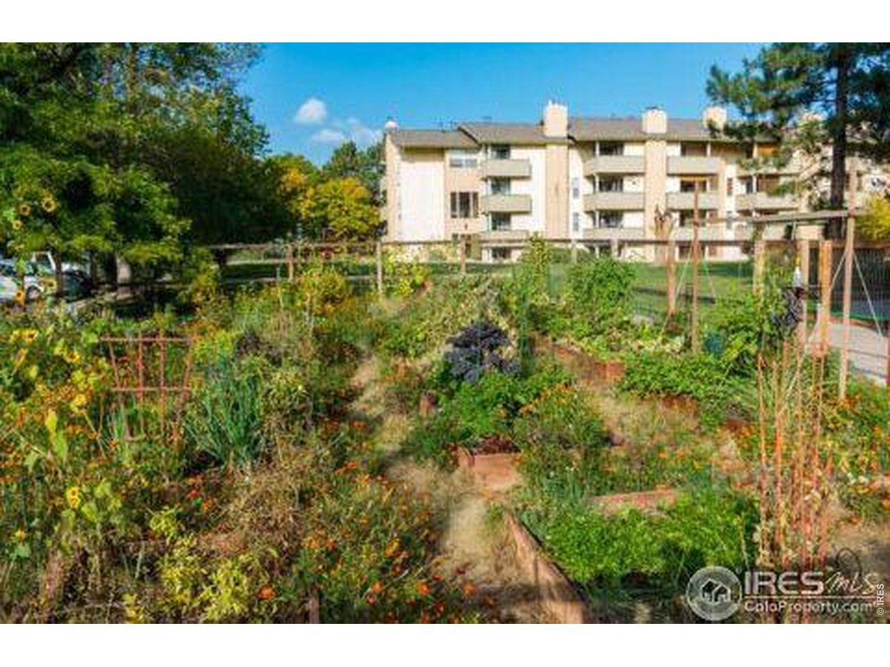 3035 Oneal Pkwy T17