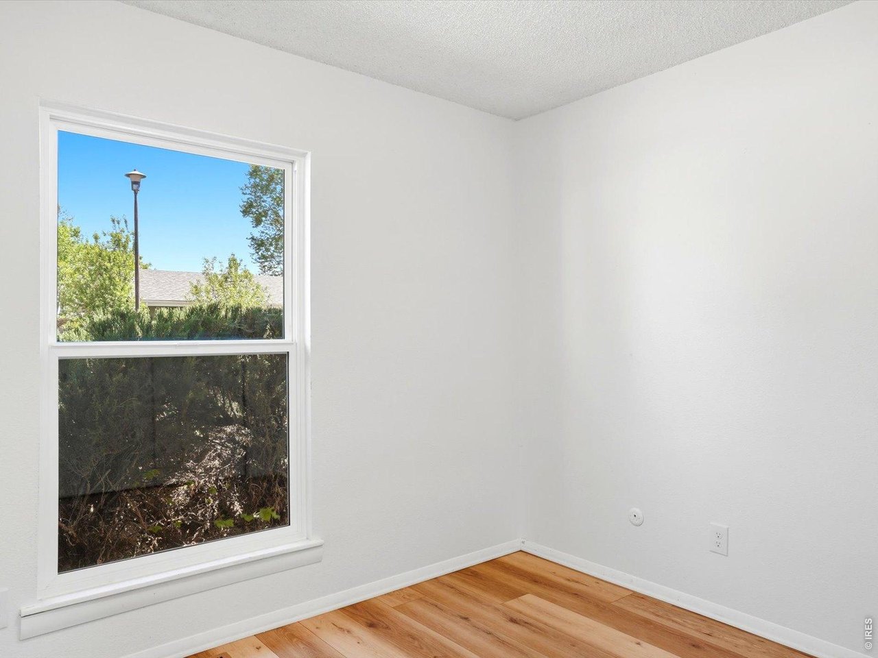 1585 Sagrimore Cir