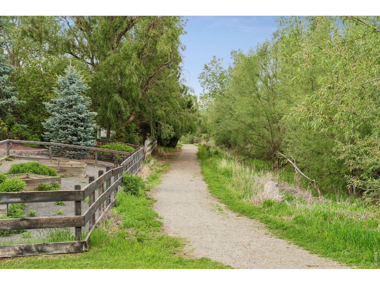 1563 Spring Creek Xing