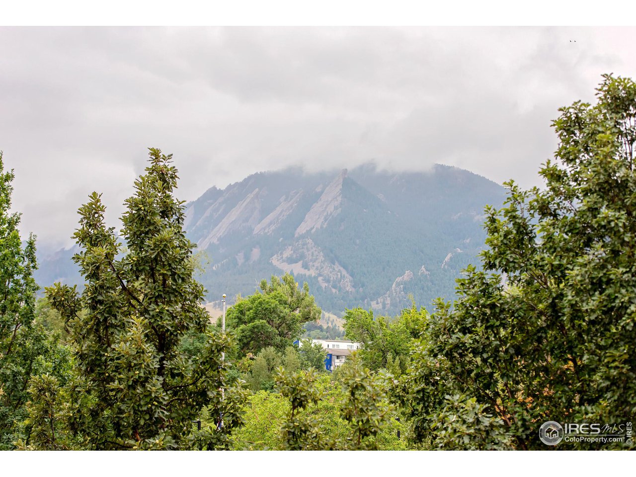 1155 Canyon Blvd Unit: 202