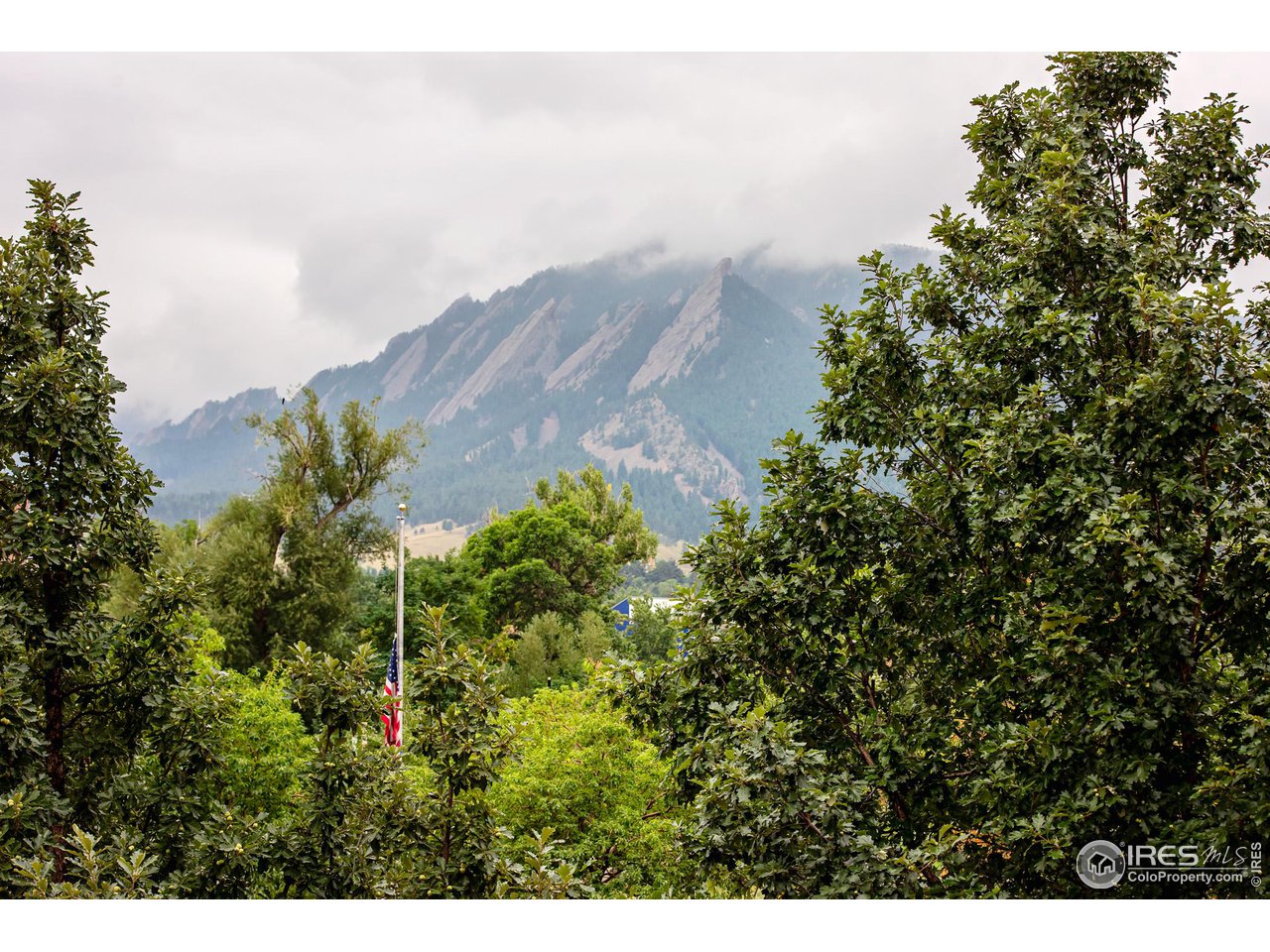 1155 Canyon Blvd Unit: 202