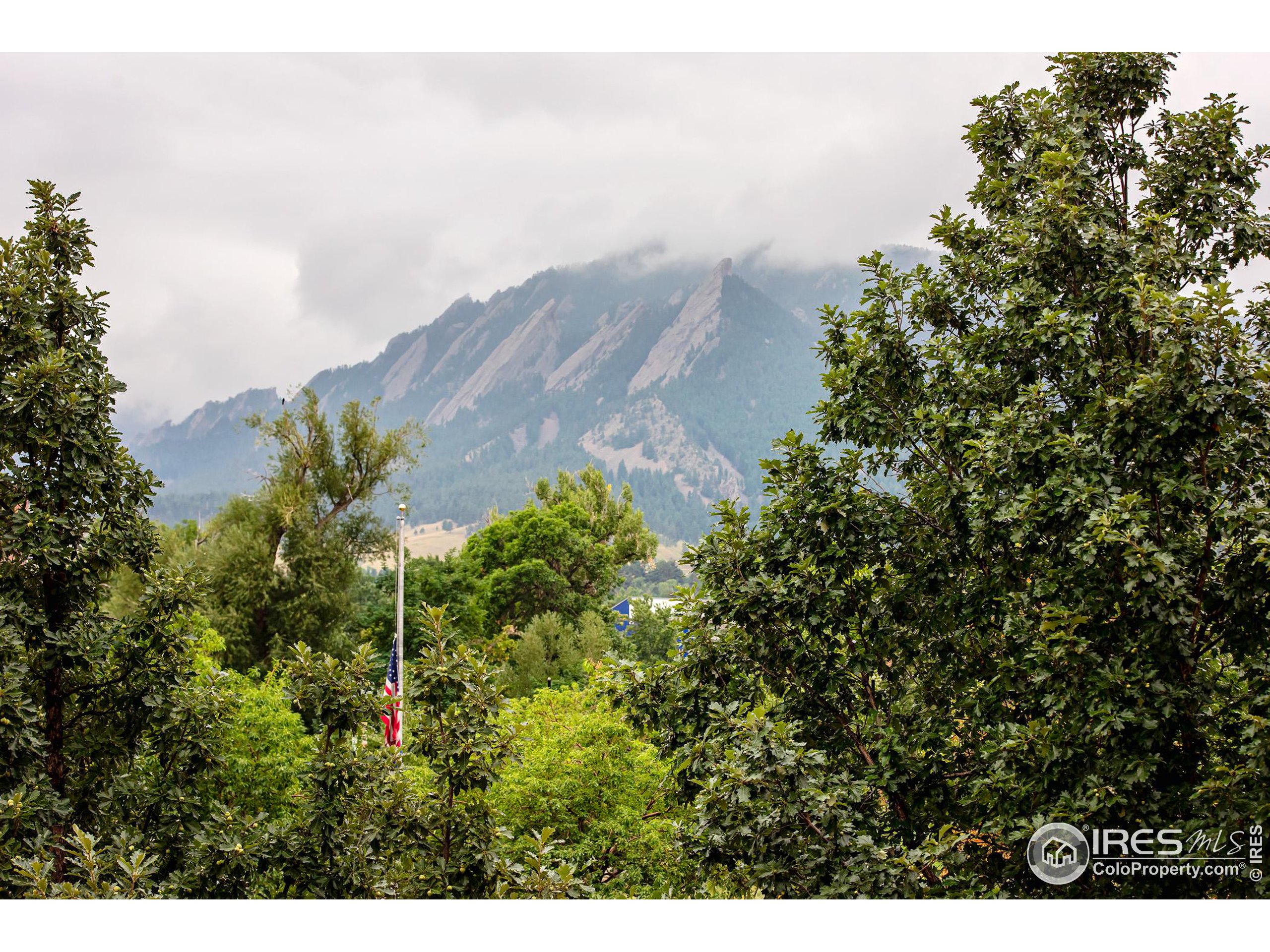 1155 Canyon Blvd Unit: 202