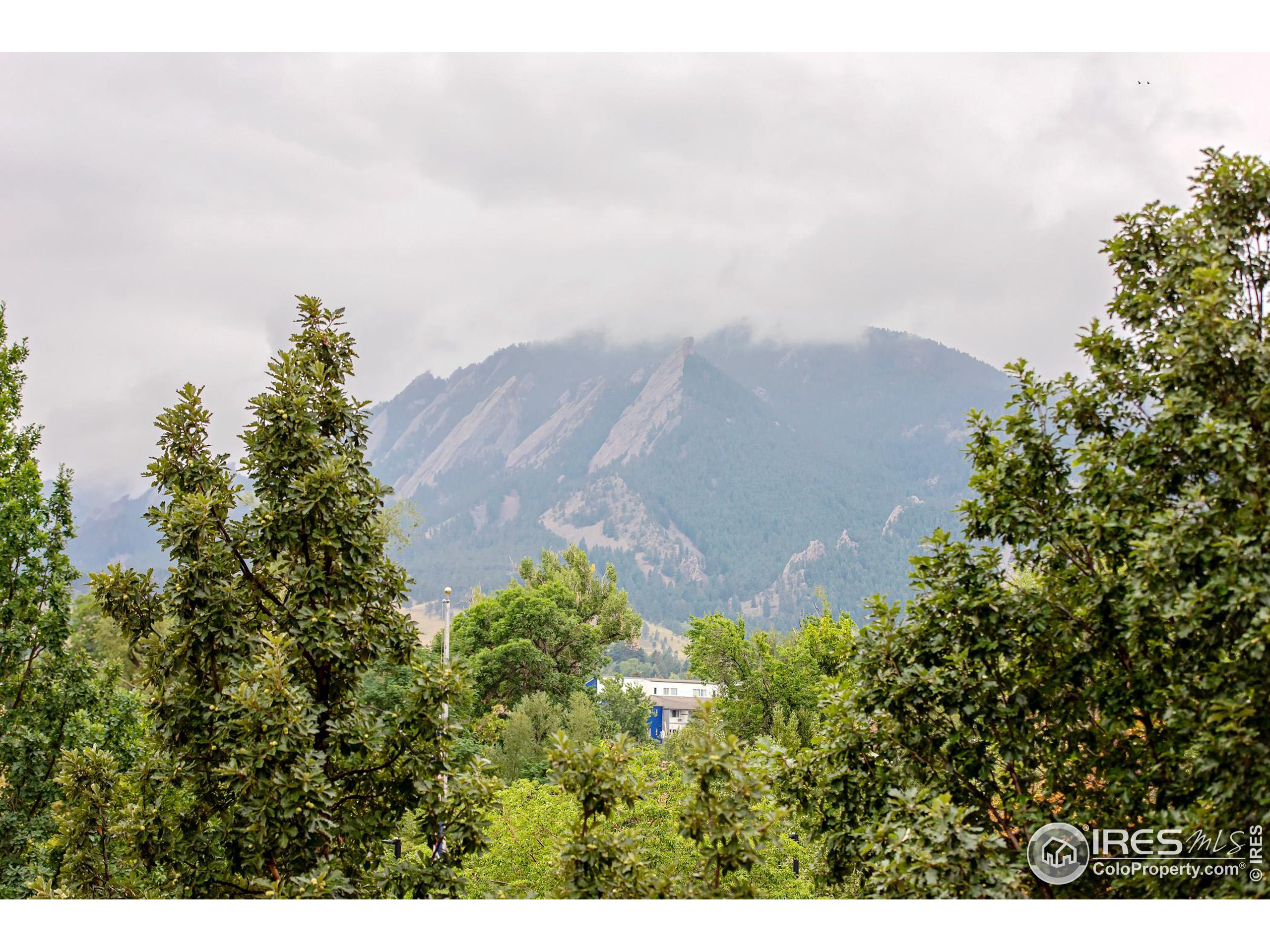 1155 Canyon Blvd Unit: 202