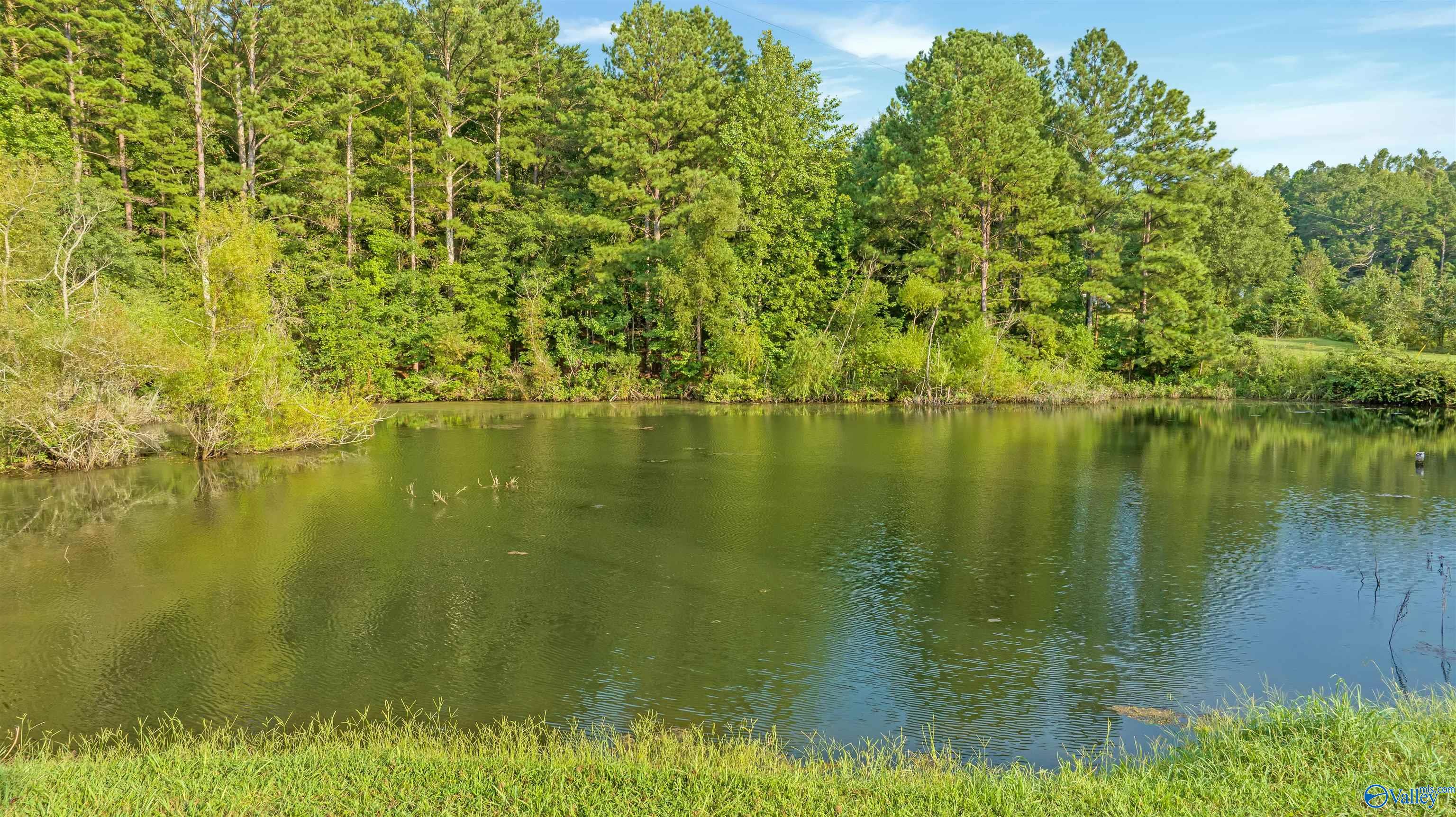 345 County Road 176