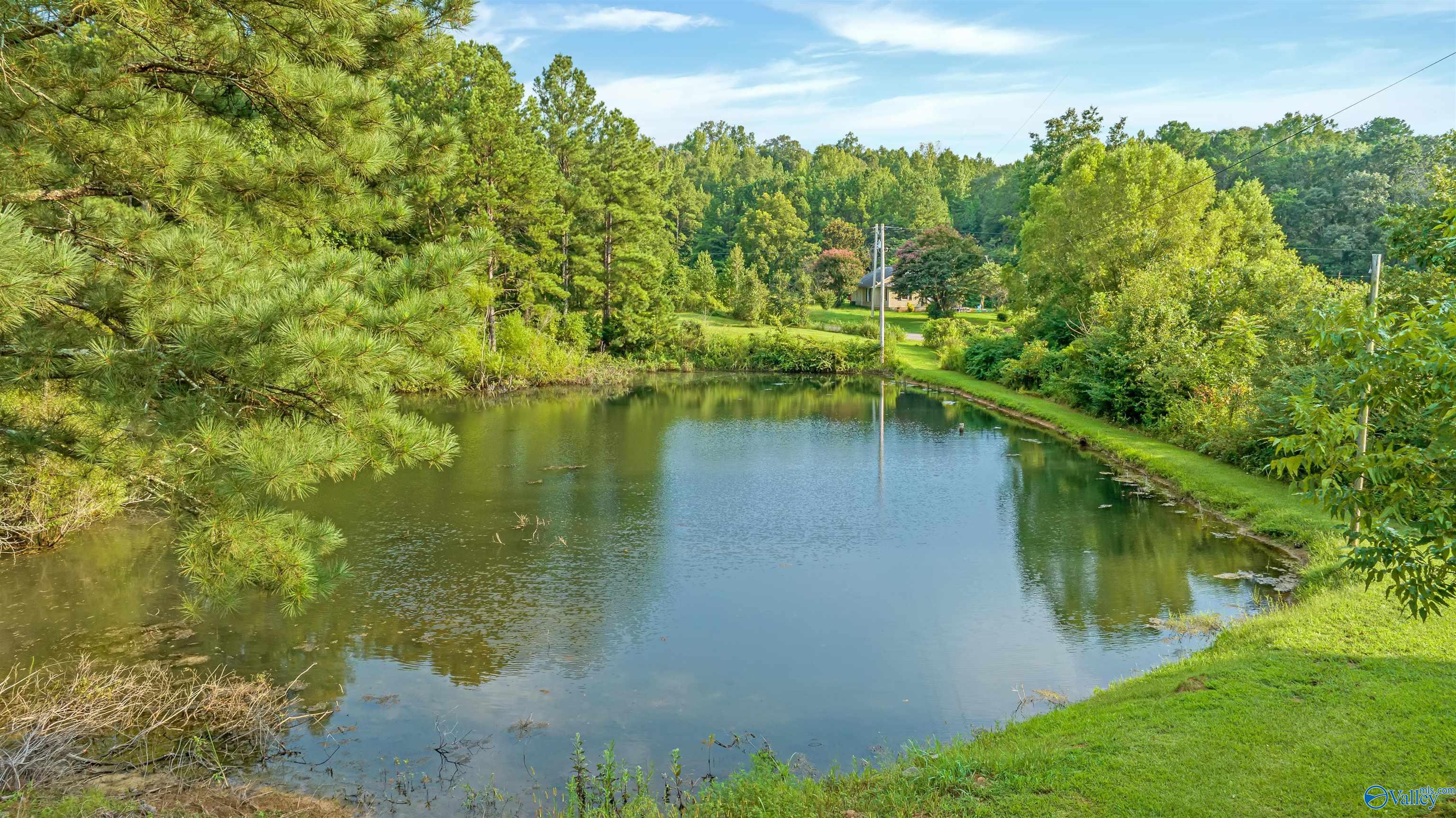 345 County Road 176