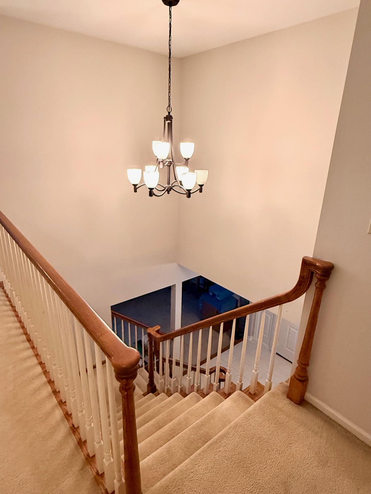 229 Portchester Road