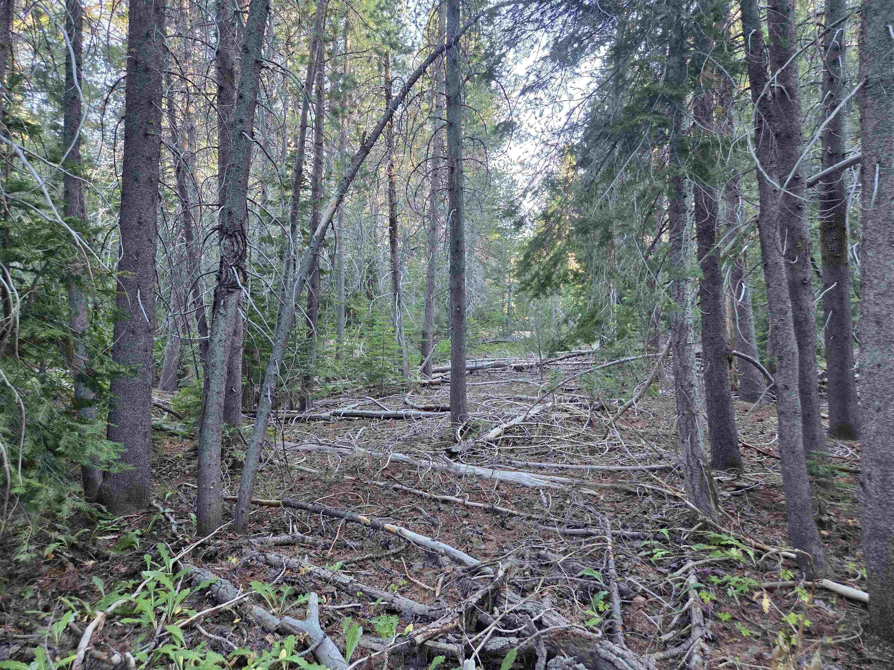 7000 Cold Stream Road