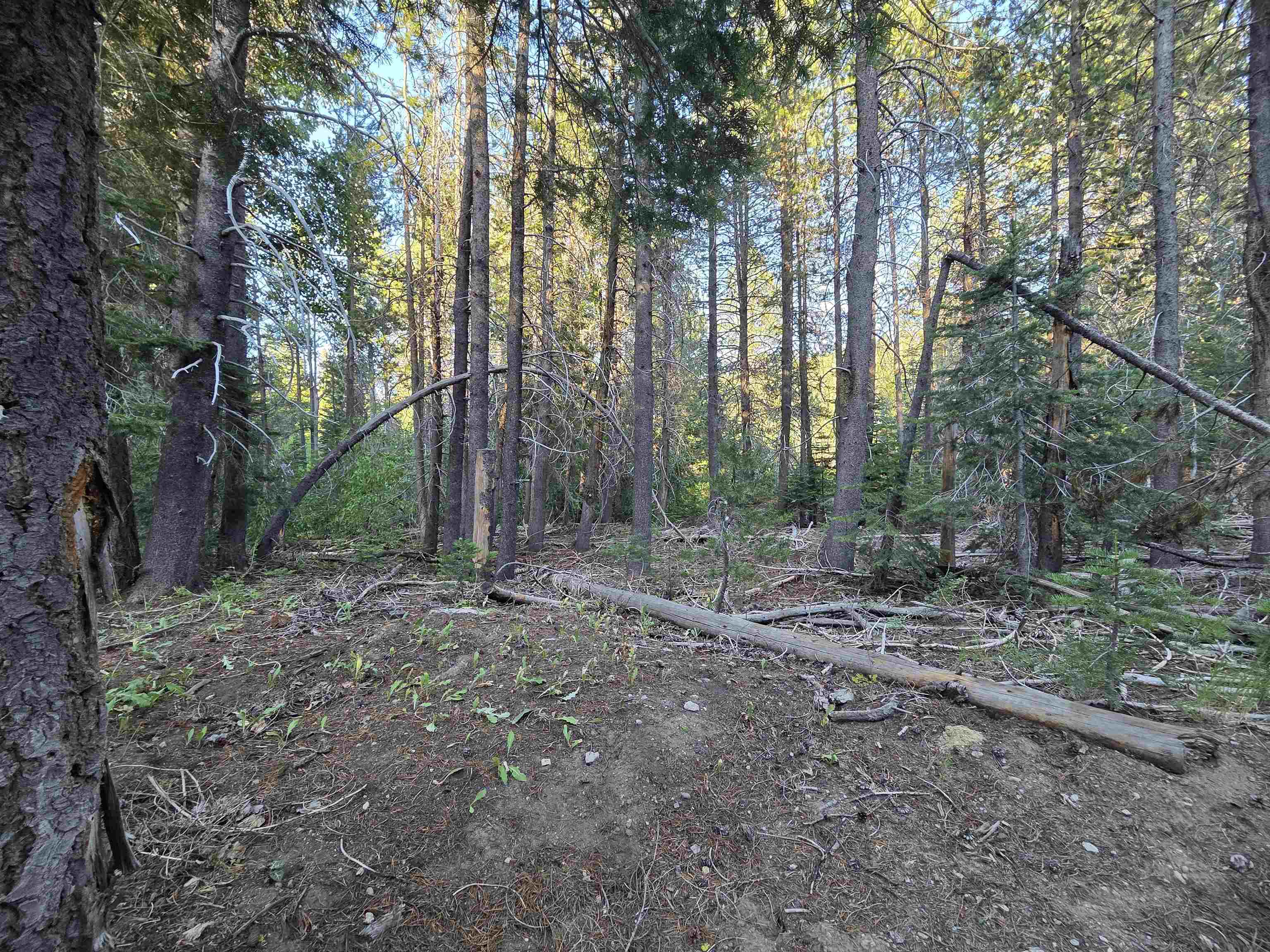 7000 Cold Stream Road