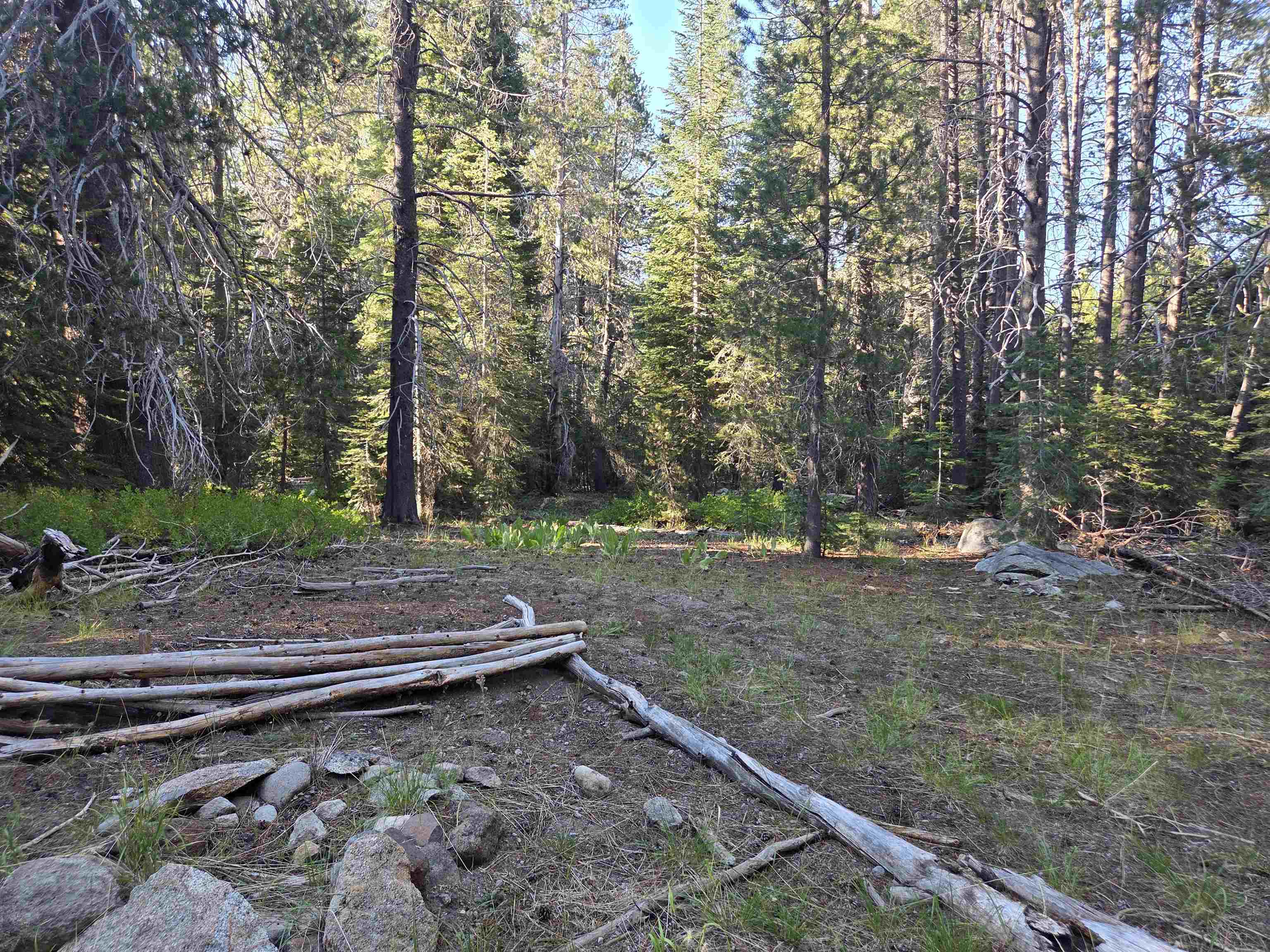 7000 Cold Stream Road