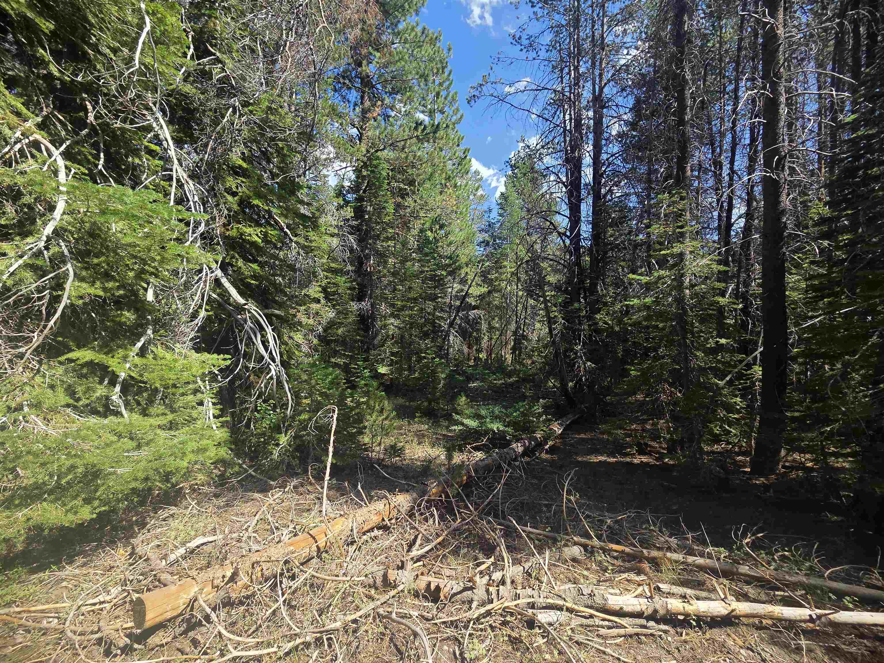 7000 Cold Stream Road