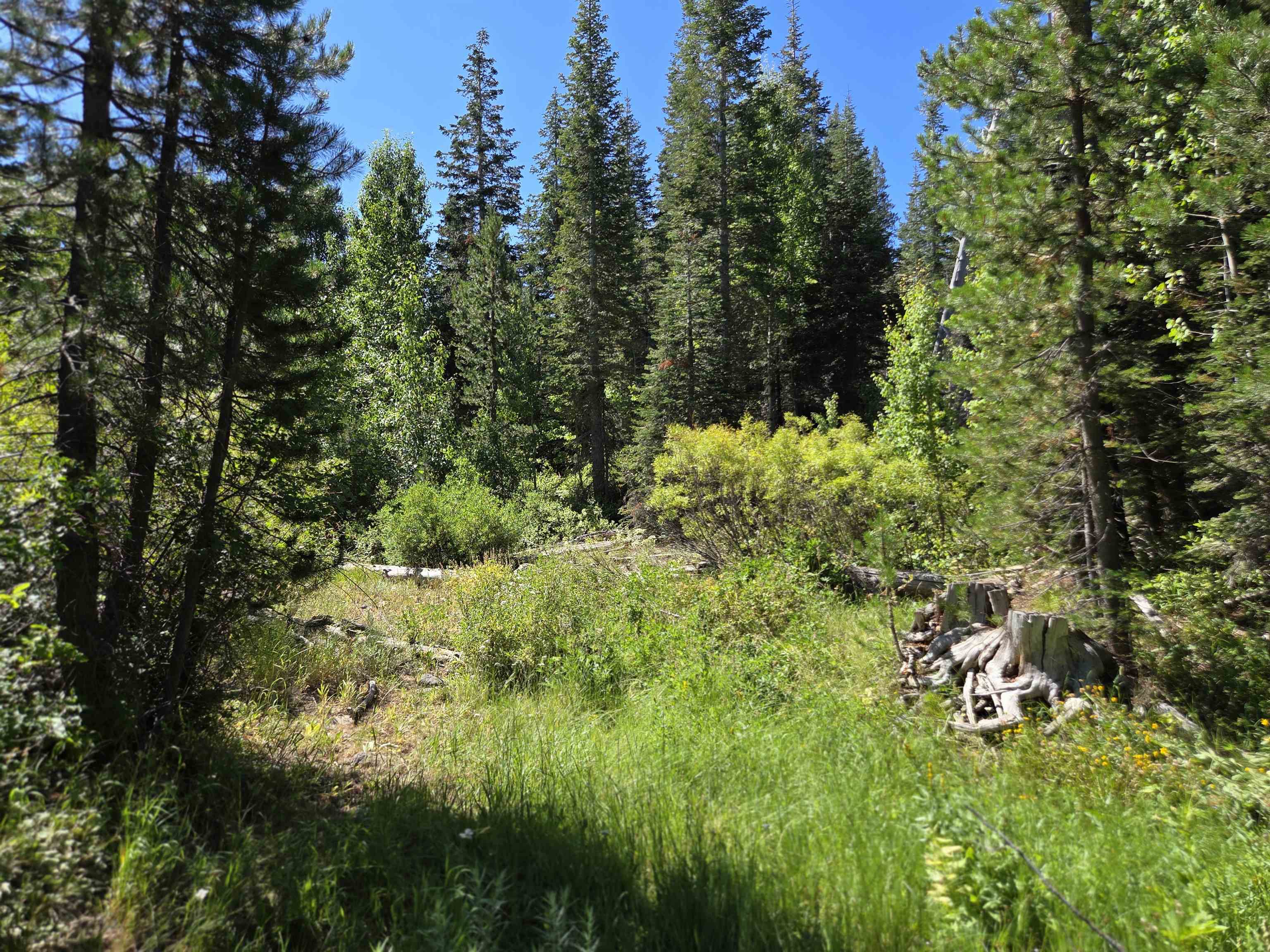 7000 Cold Stream Road