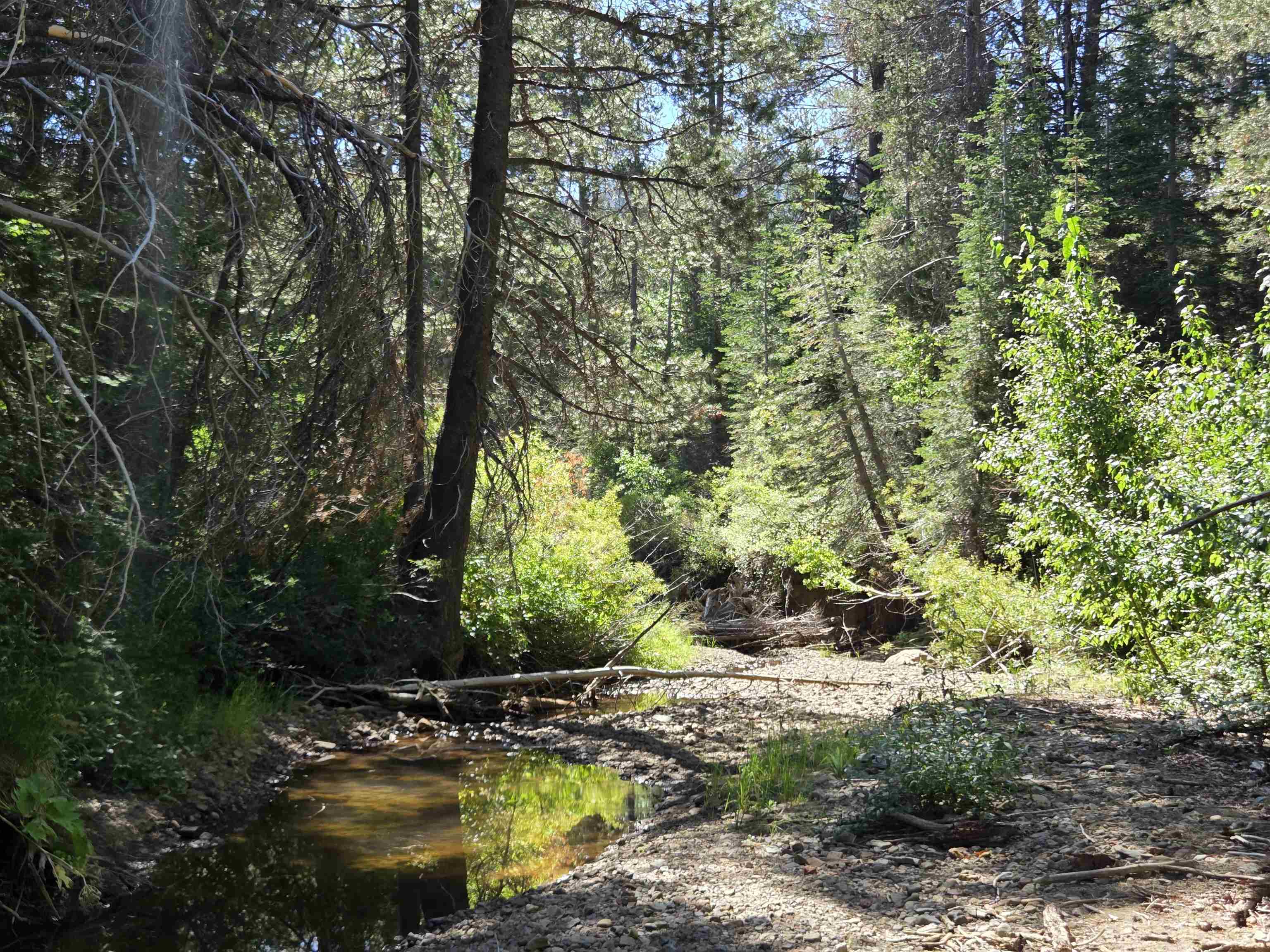 7000 Cold Stream Road