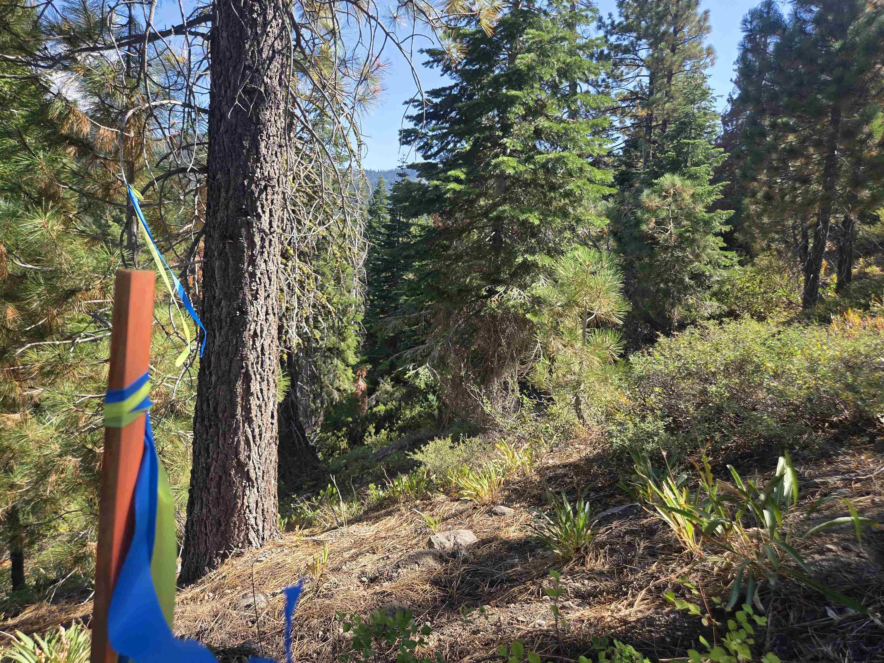 7000 Cold Stream Road