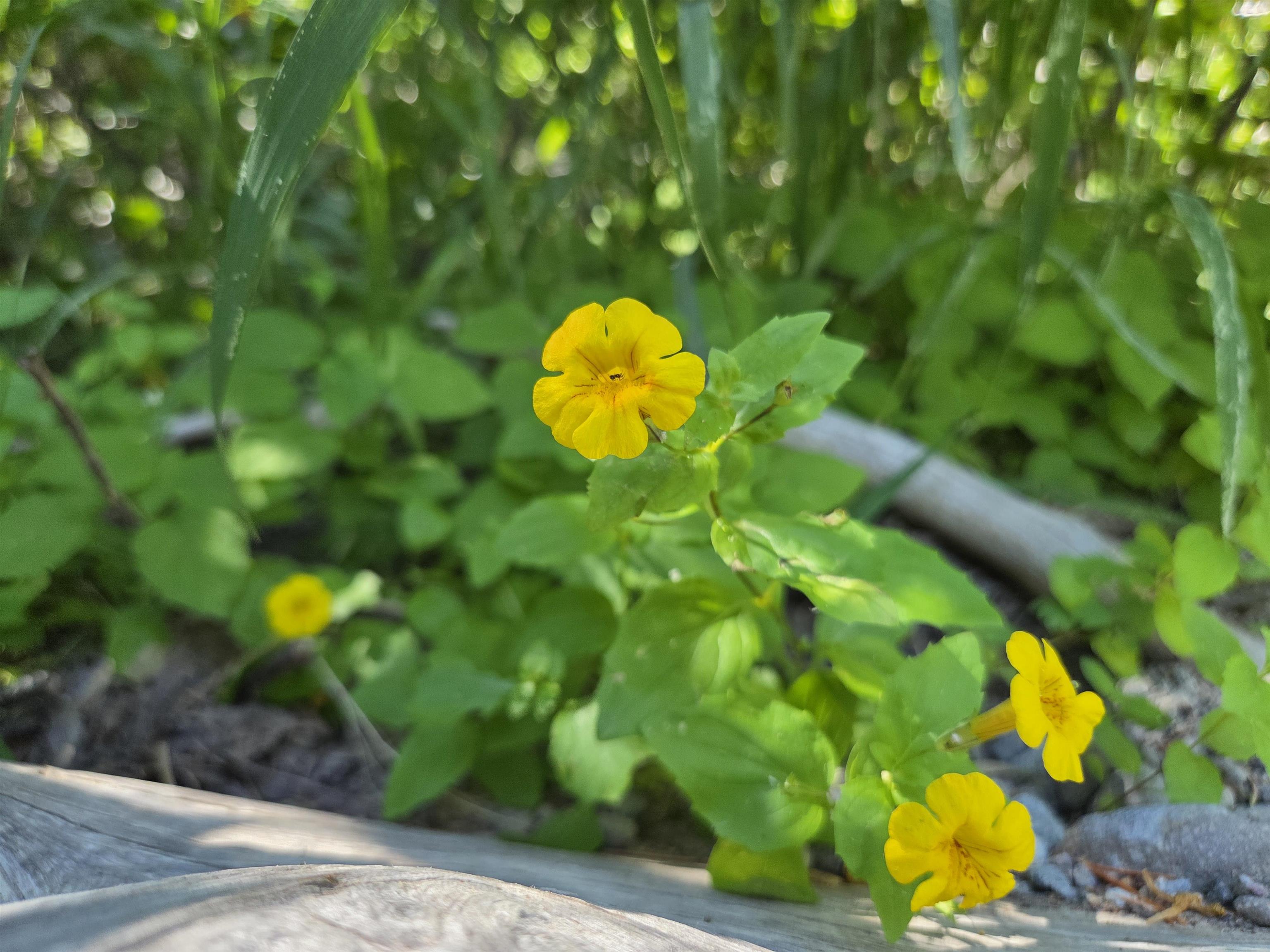 7000 Cold Stream Road