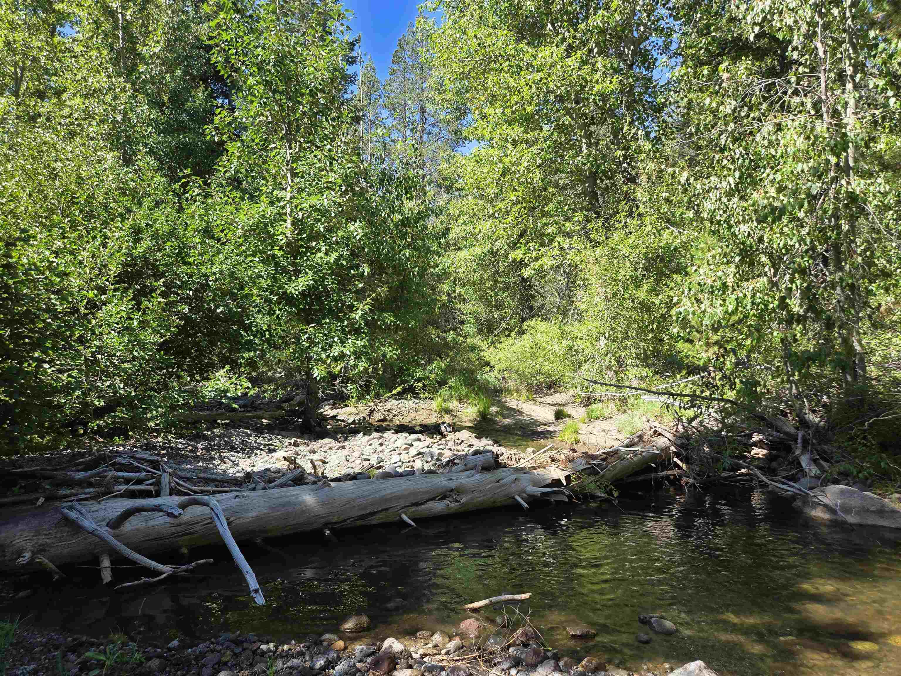 7000 Cold Stream Road