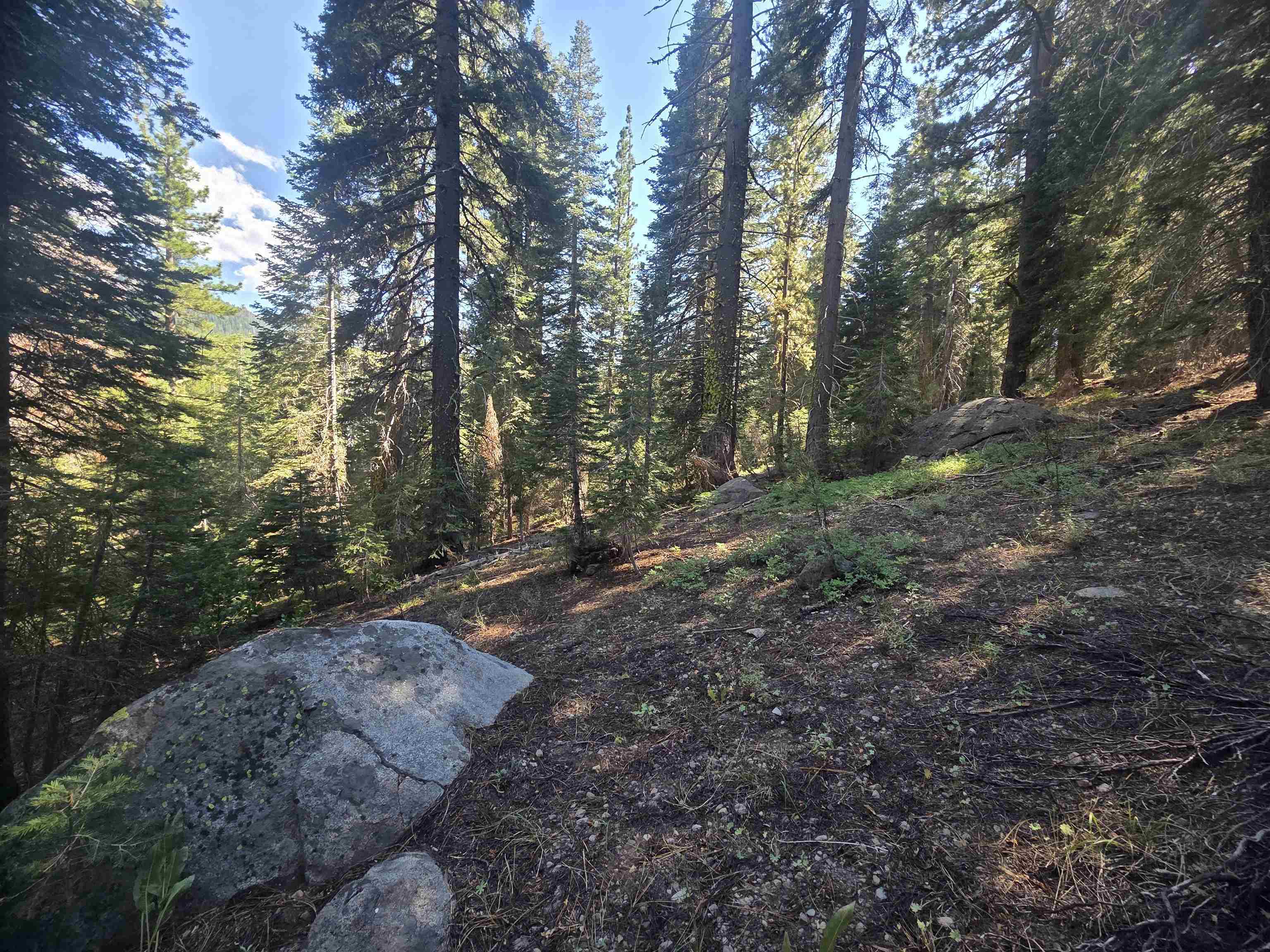 7000 Cold Stream Road