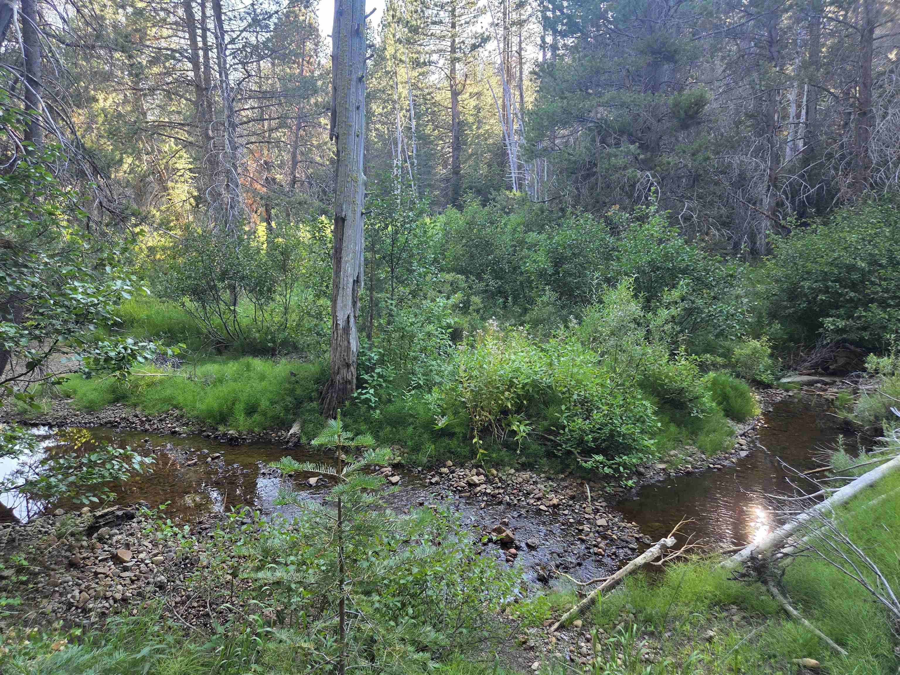 7000 Cold Stream Road