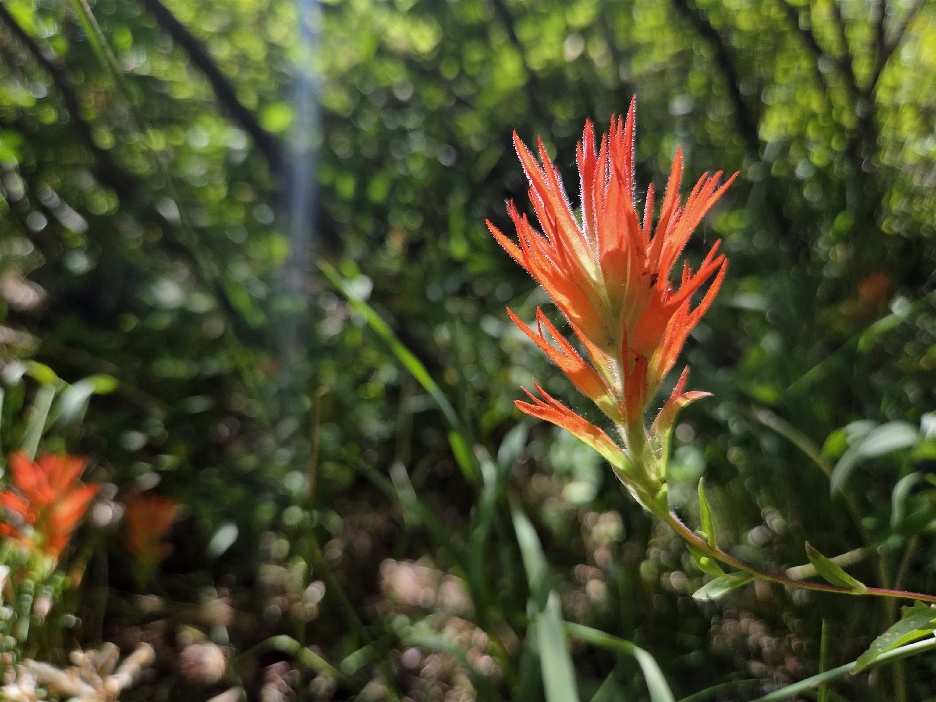 7000 Cold Stream Road