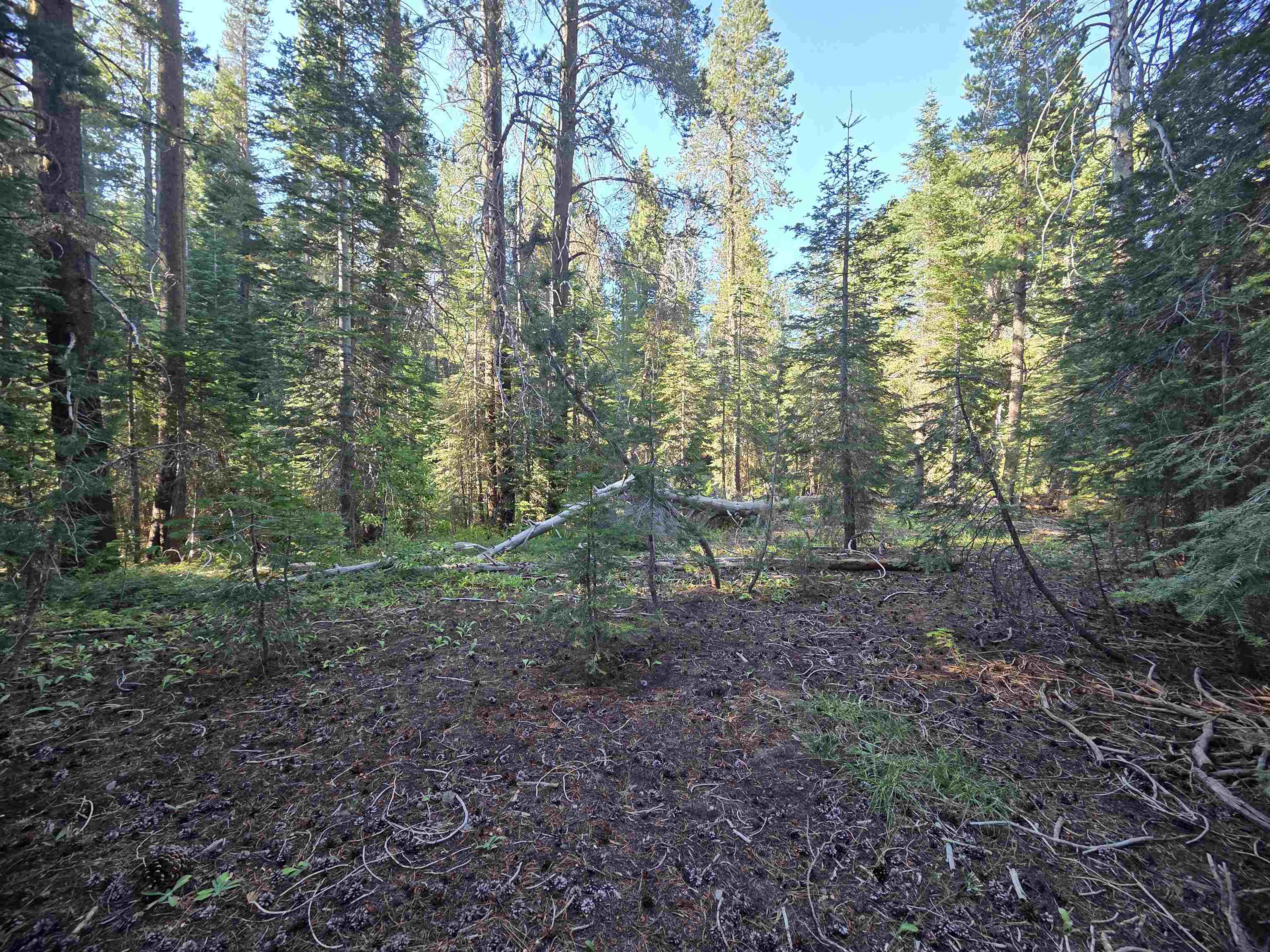 7000 Cold Stream Road