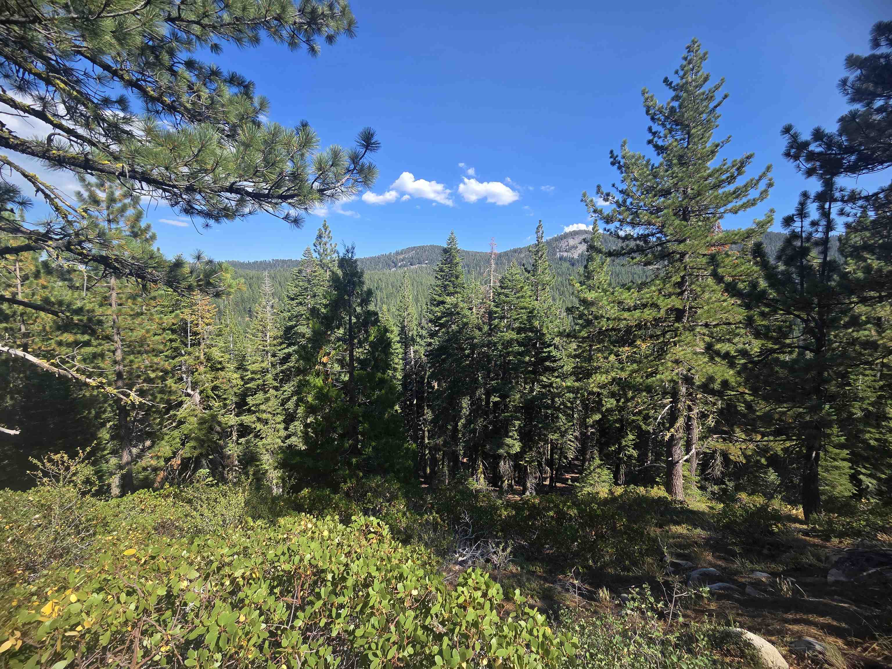 7000 Cold Stream Road