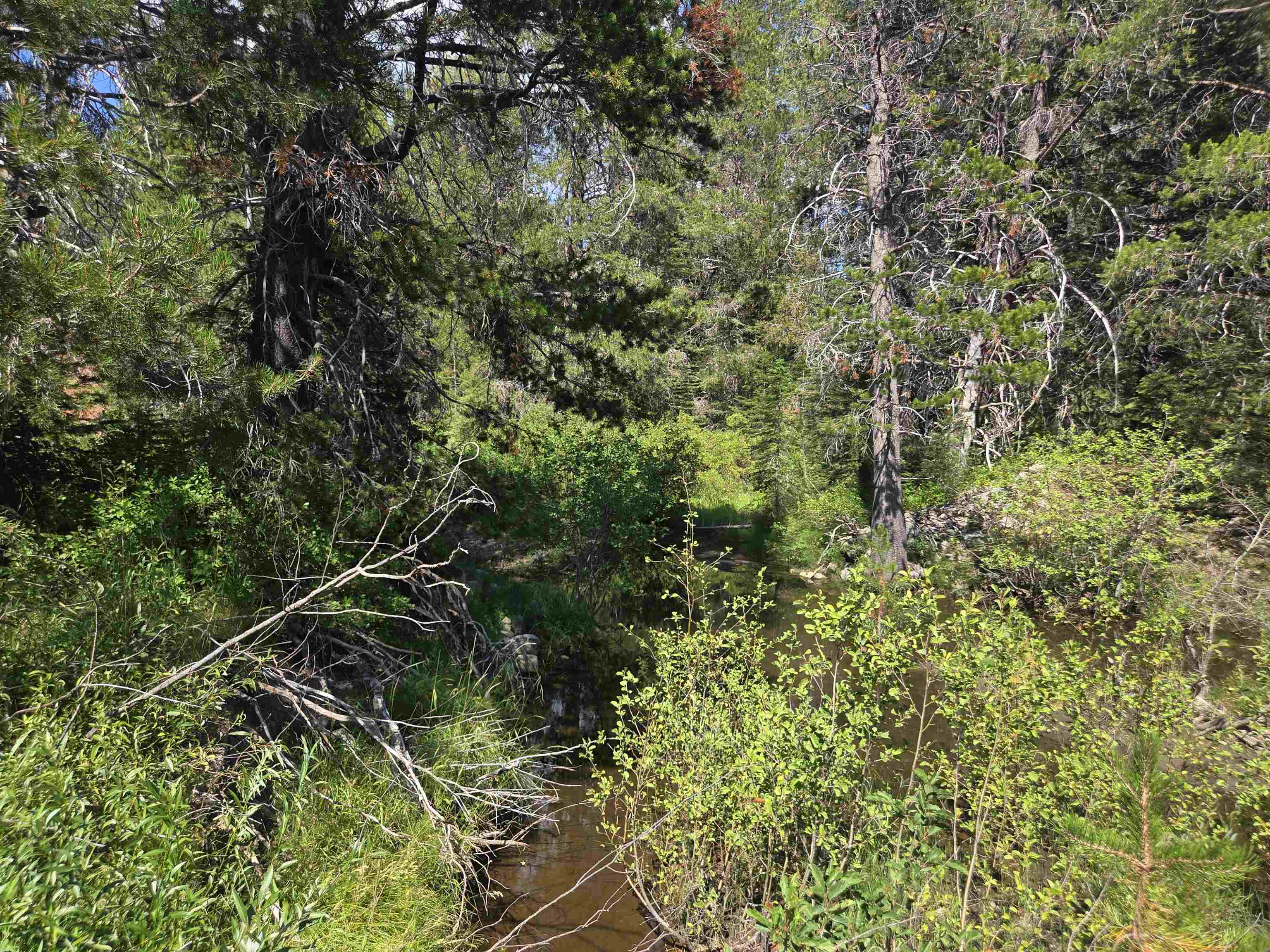 7000 Cold Stream Road