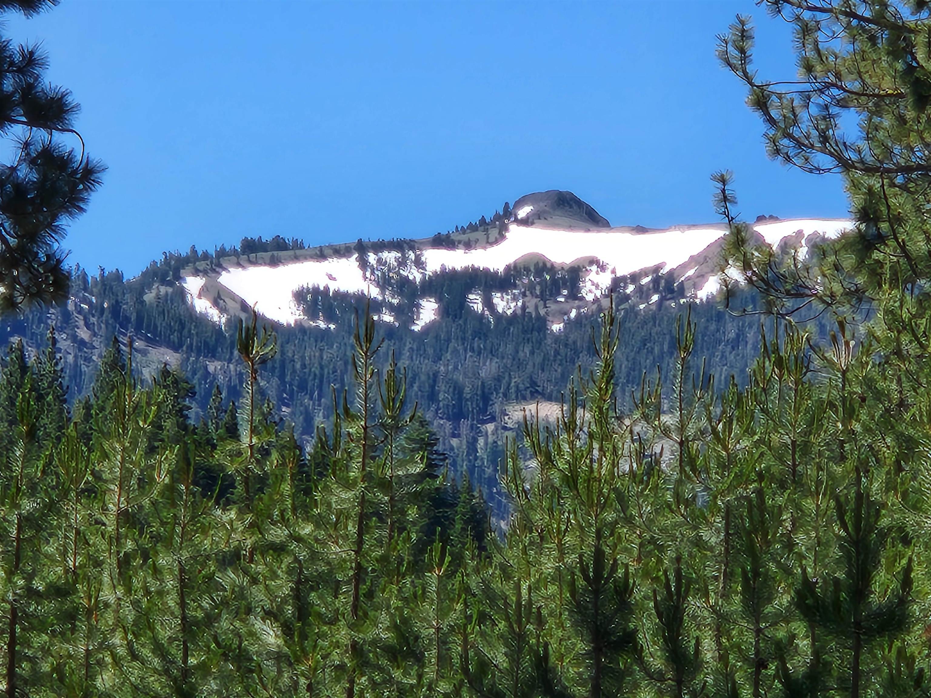 7000 Cold Stream Road