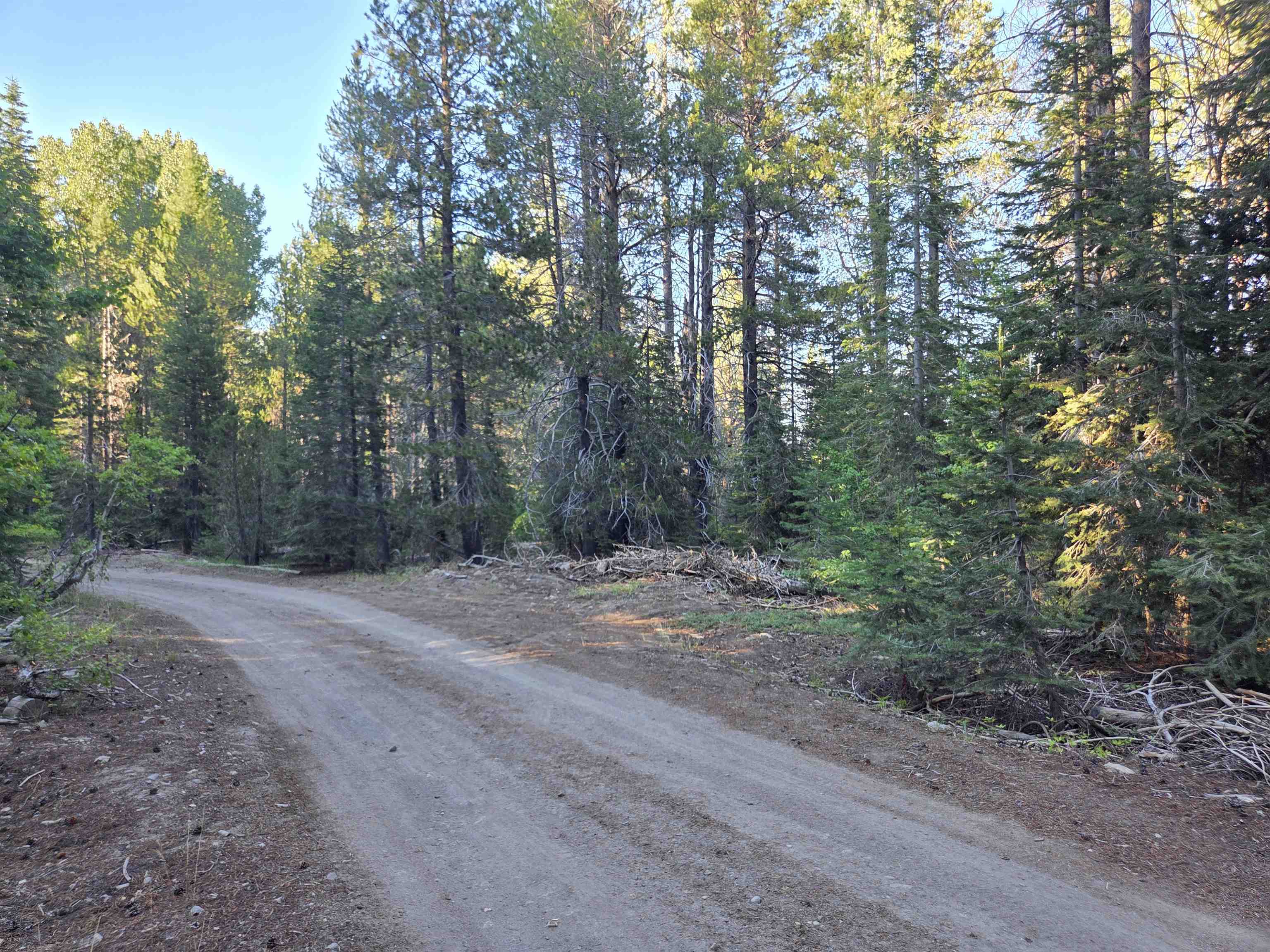 7000 Cold Stream Road