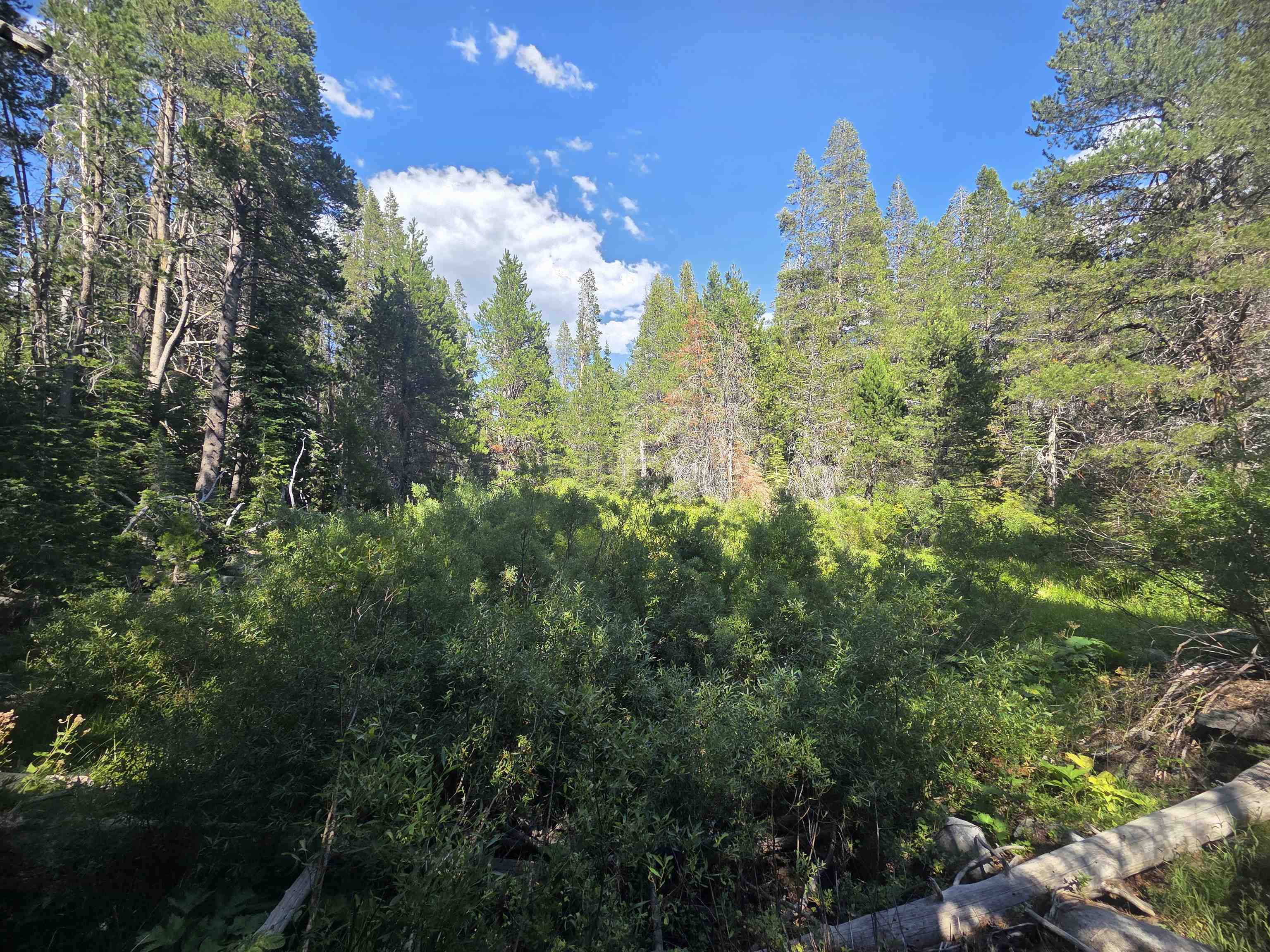 7000 Cold Stream Road