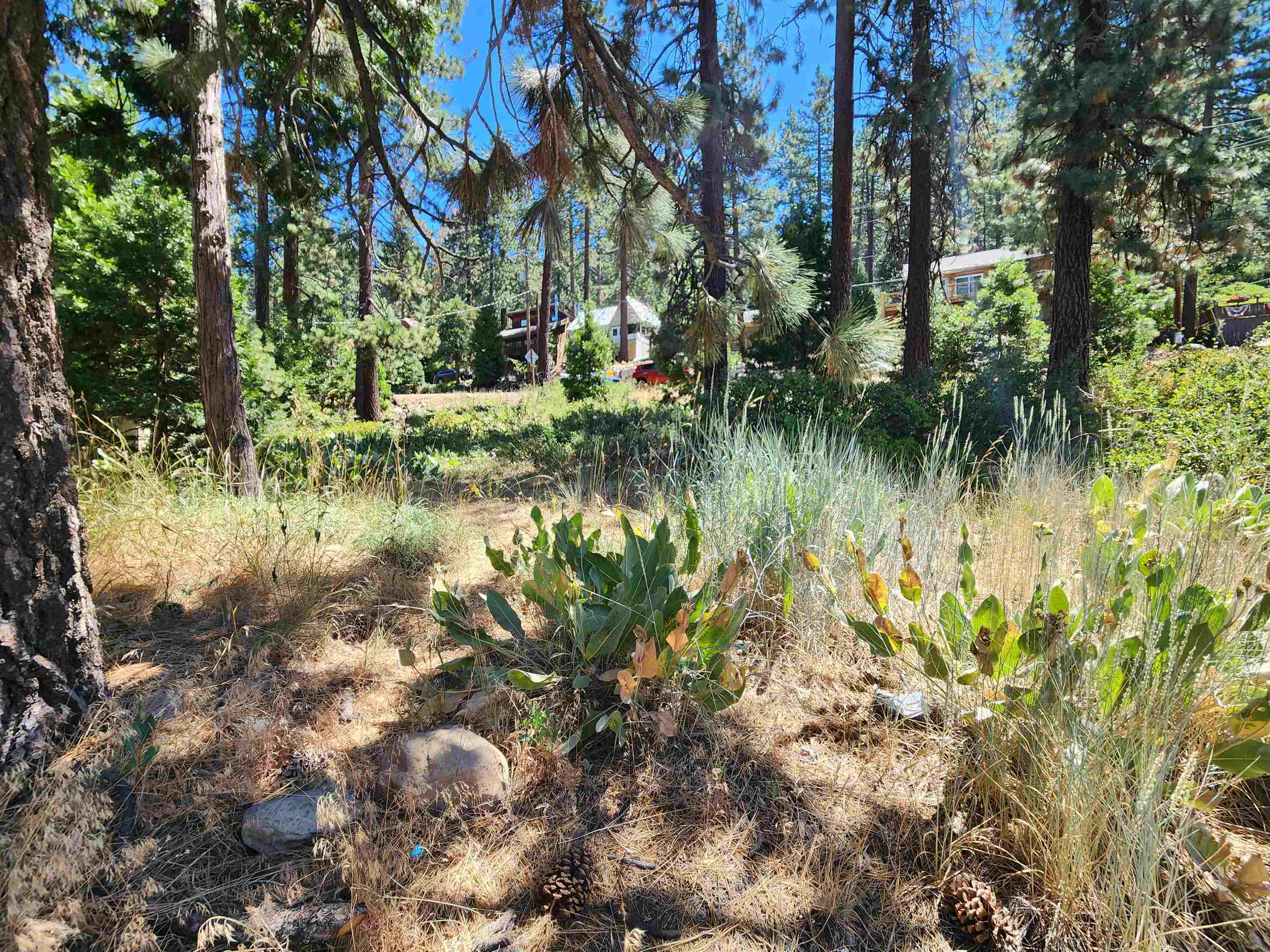 000 Beaver Street Unit: 8945 North Lake Blvd