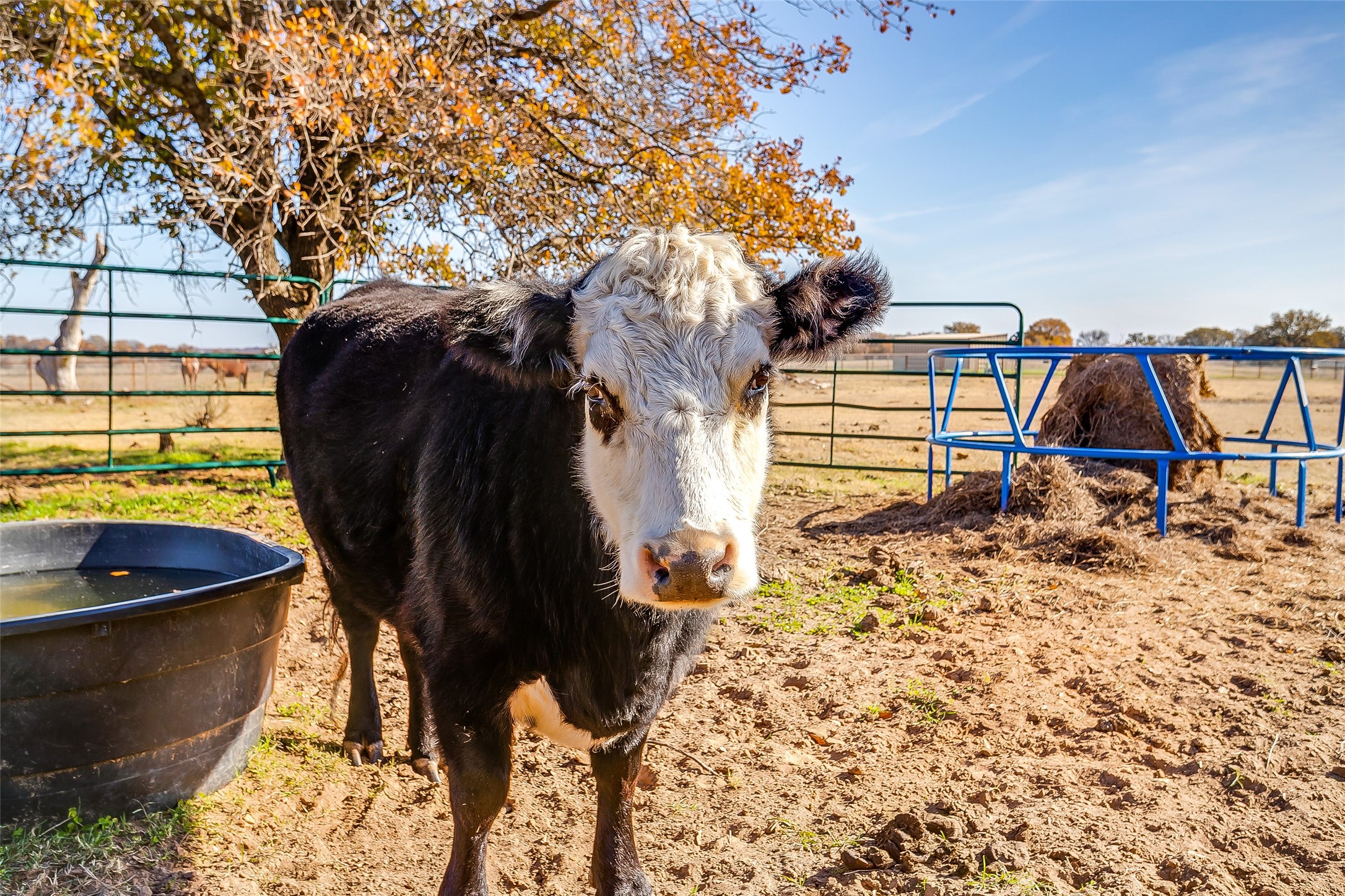 1210 Poe Prairie Road